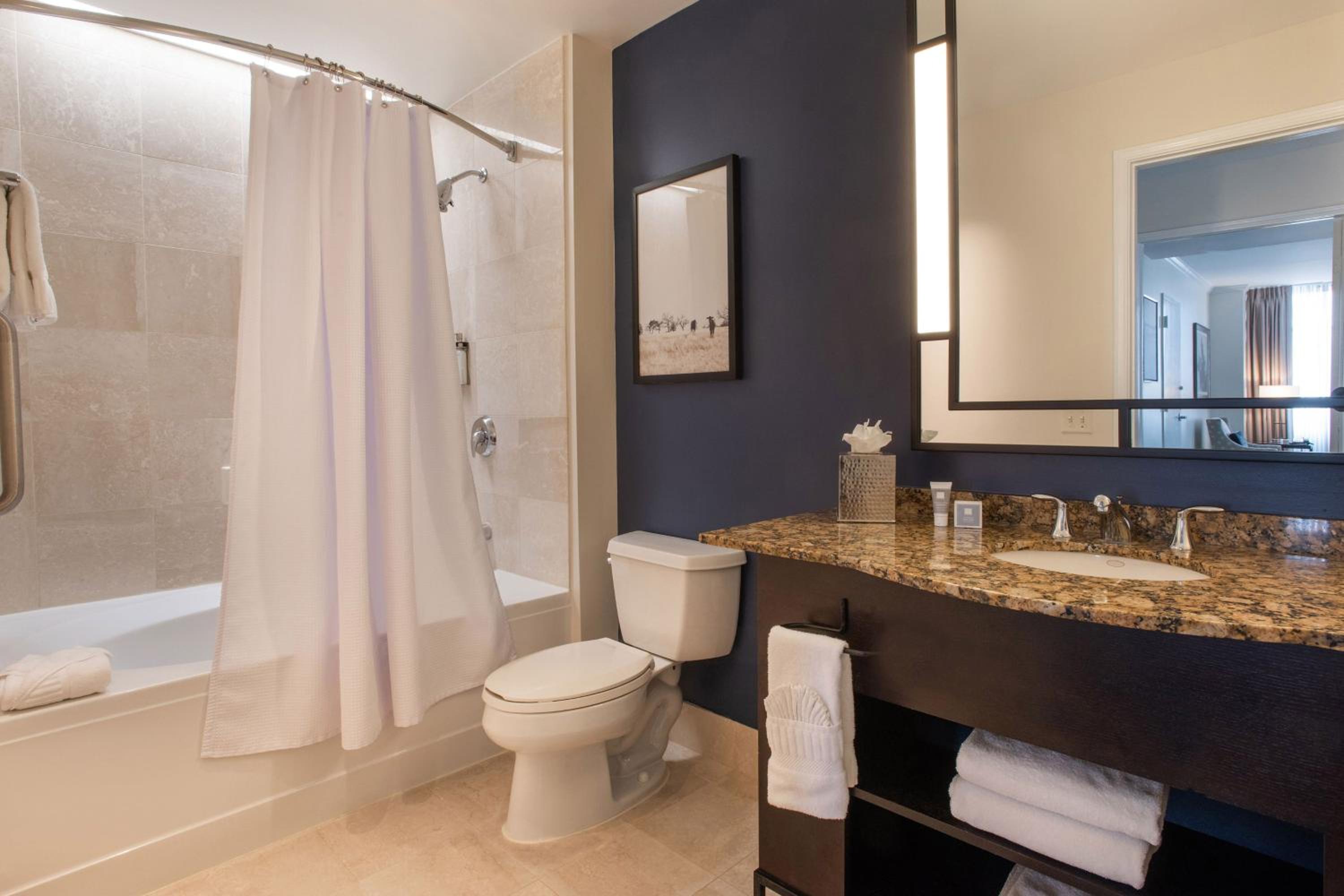 Suite, 1 Bedroom Junior Suite, 1 King, No view, Mid floor