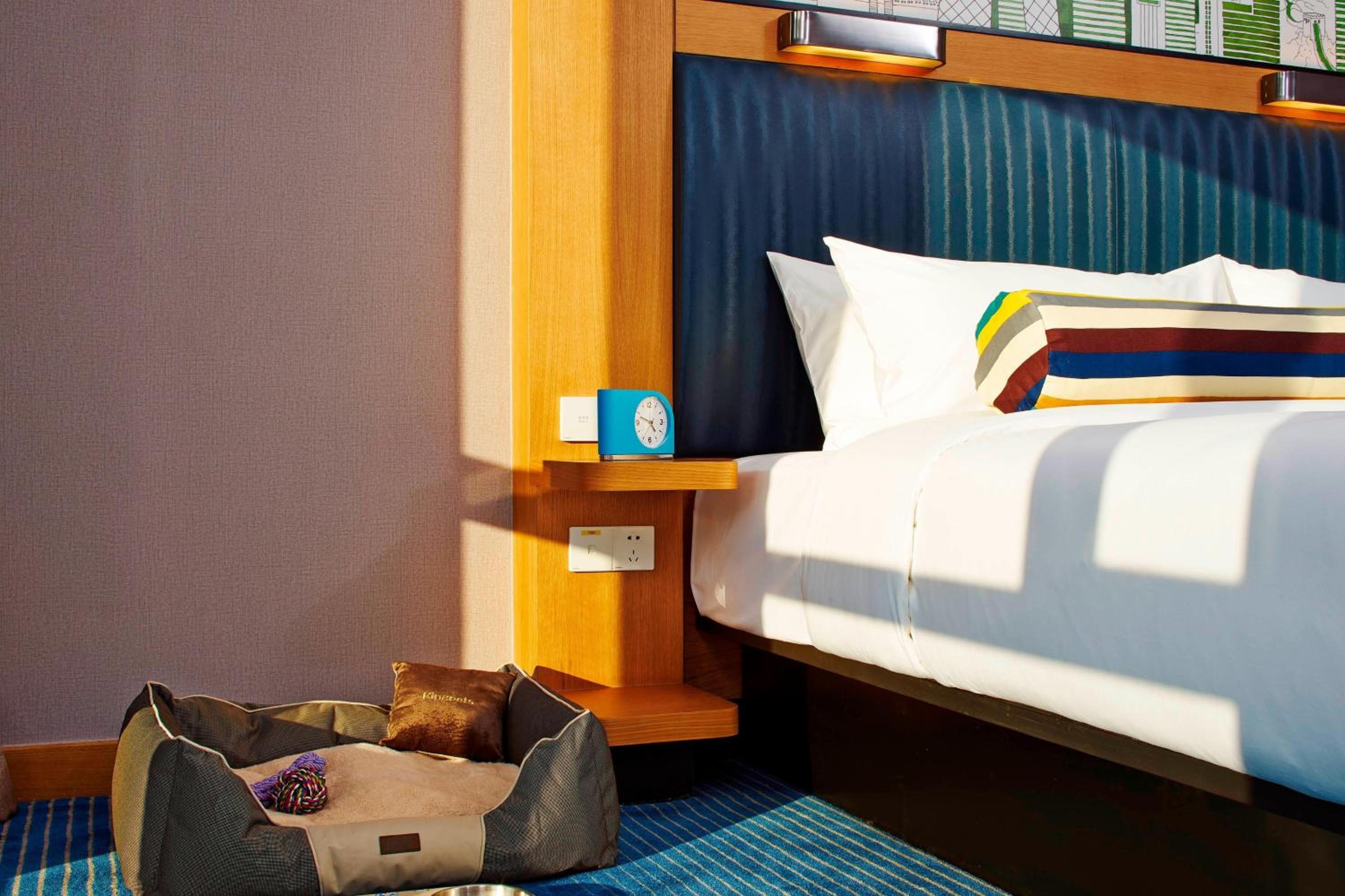 1 King Bed, City View, Guest Room