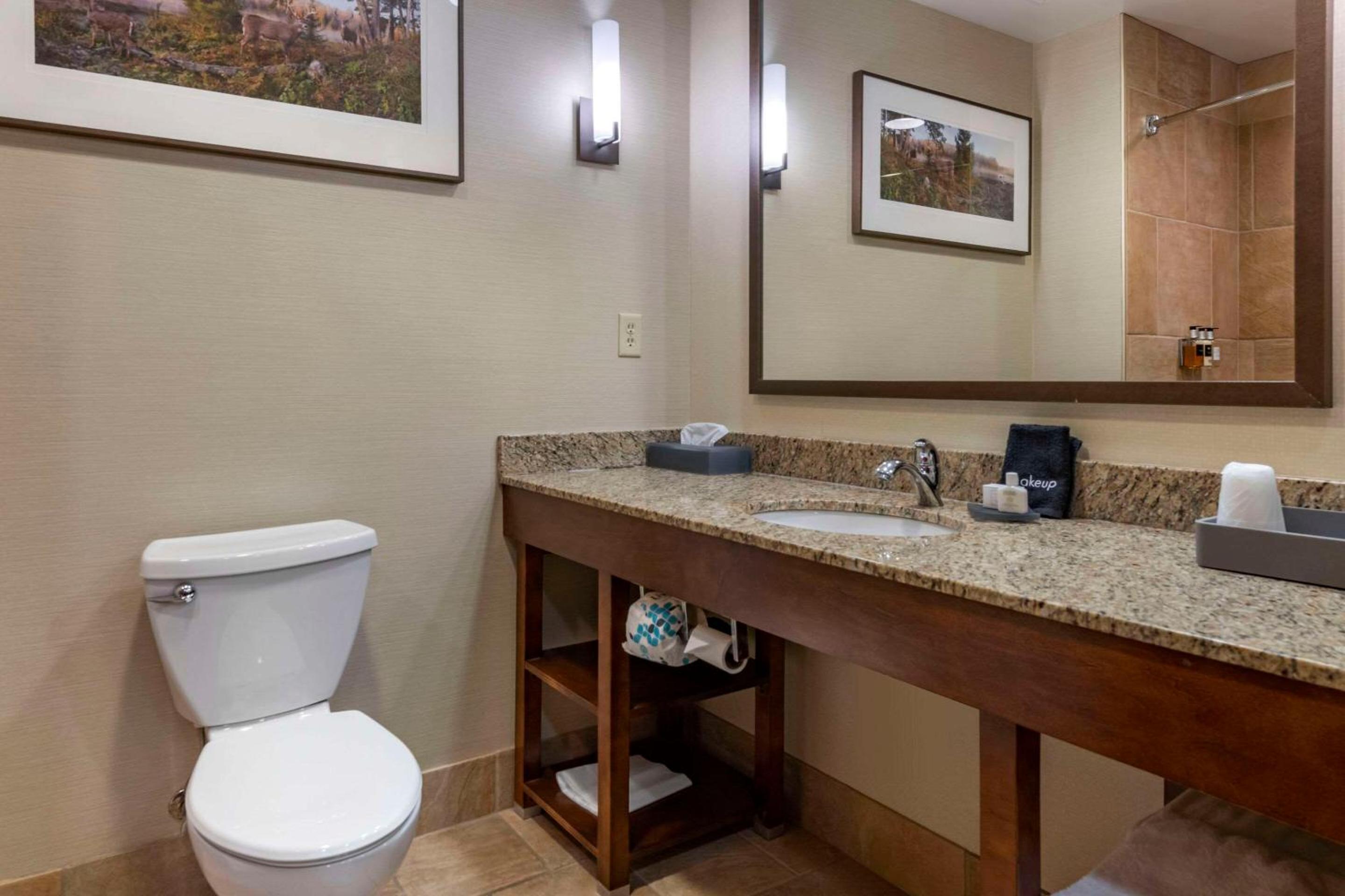 King Suite with Sofa Bed and Balcony - Lake View