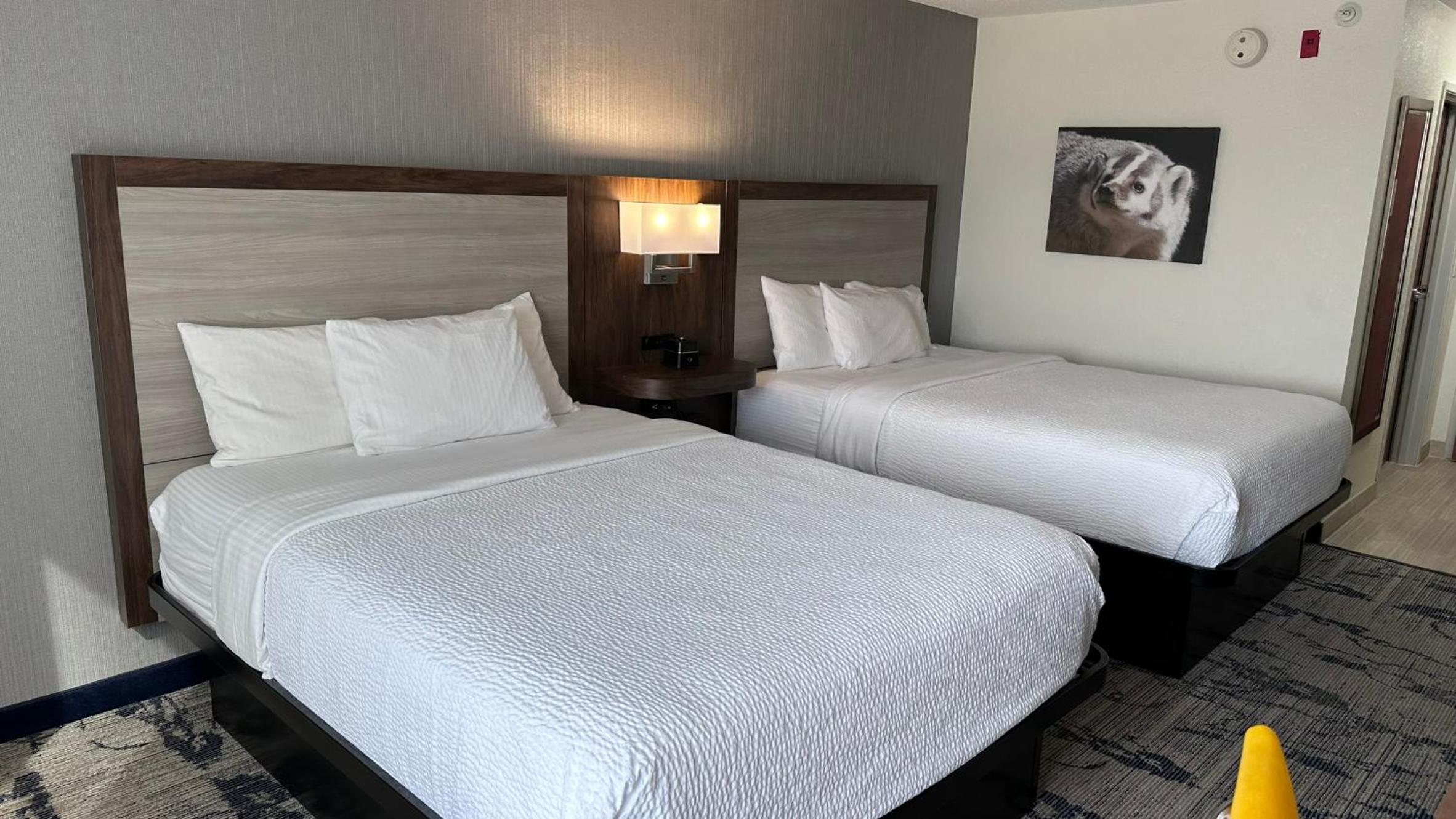 Double Room with Two Double Beds - Pet Friendly/Non-Smoking