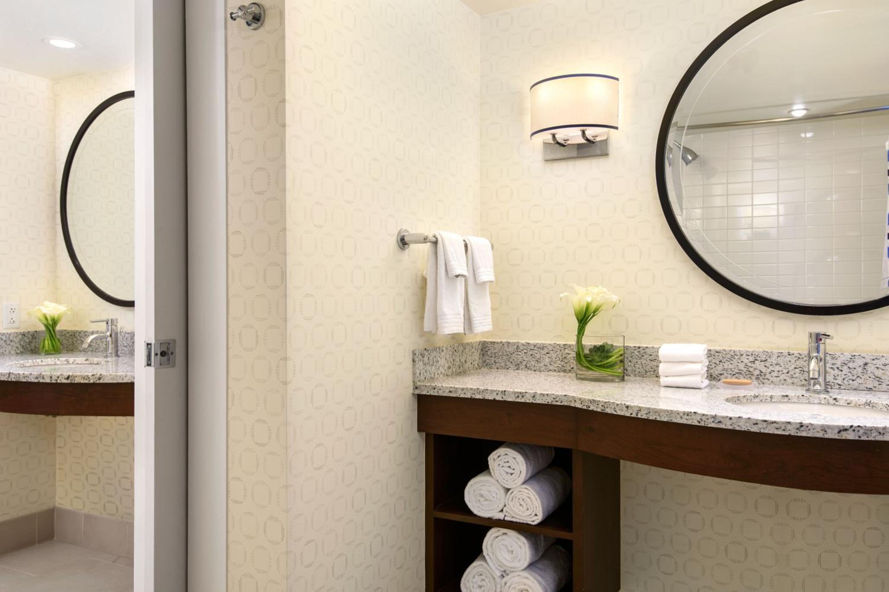 Suite, 1 King, Sofa bed