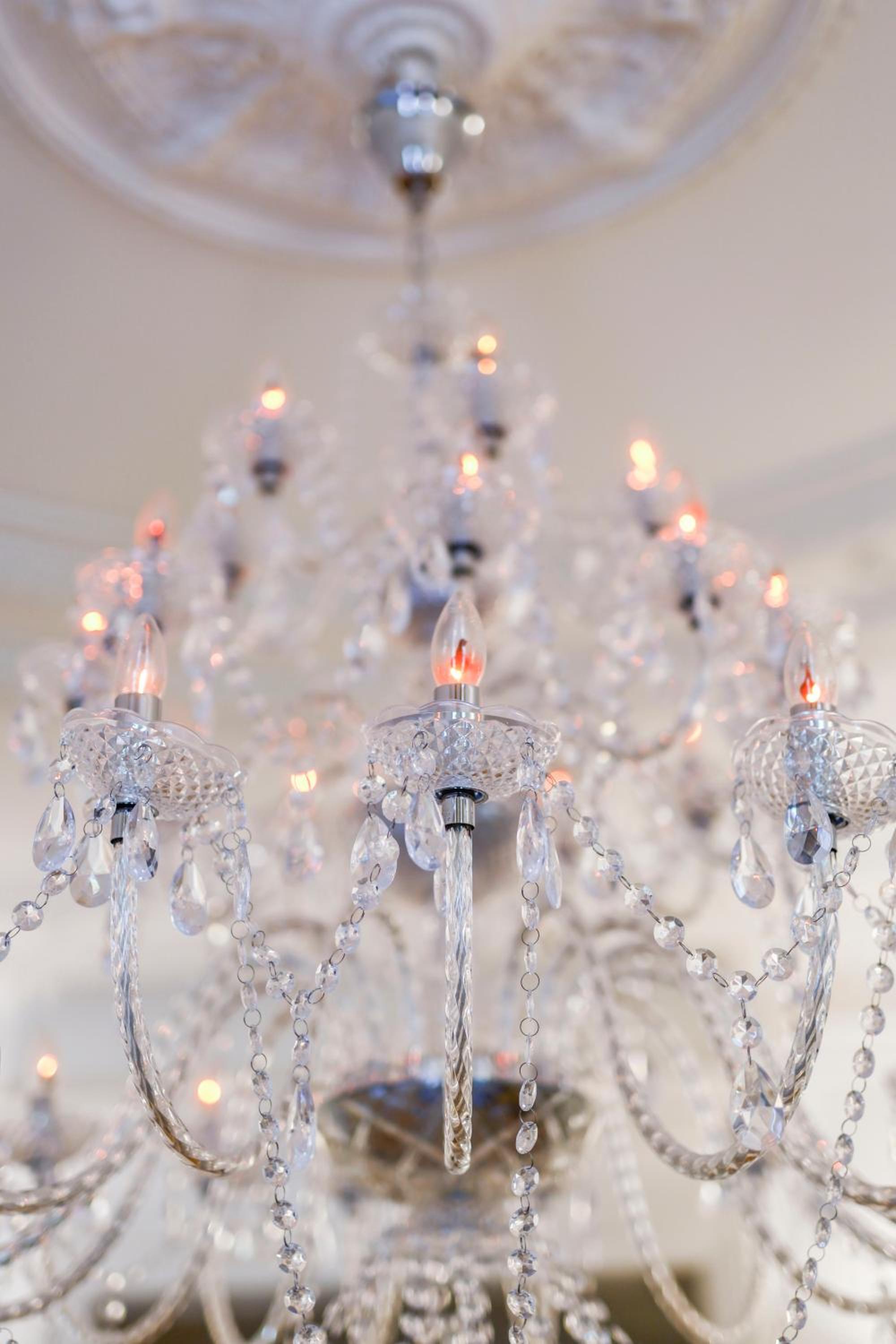 Deluxe Junior Suite with Garden 