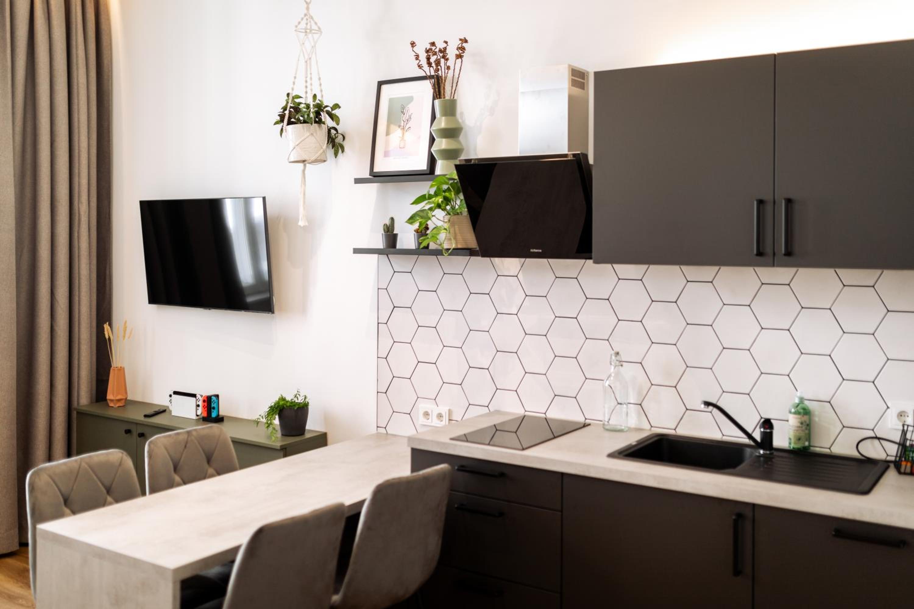 One-Bedroom Apartment accessible