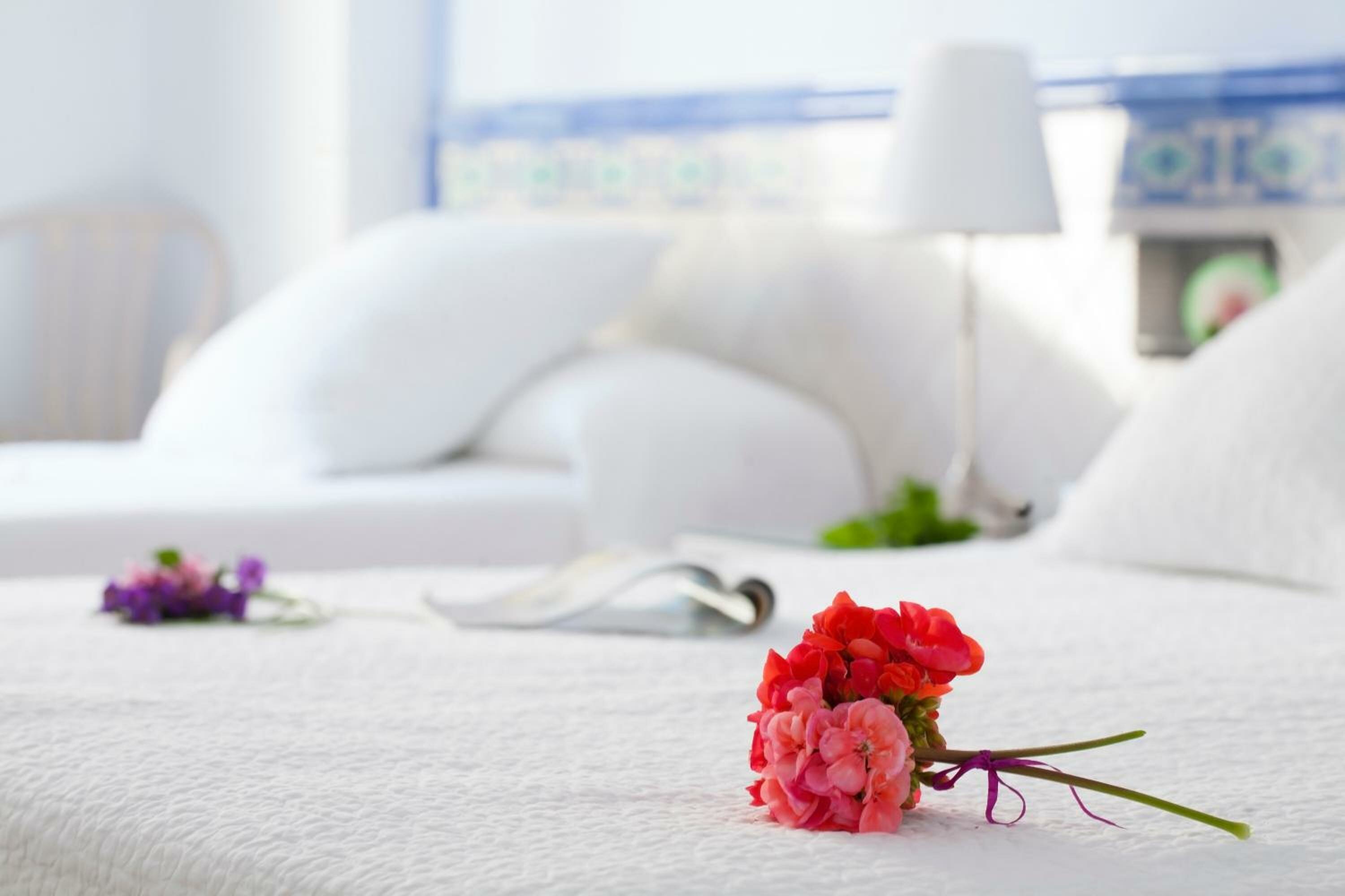 Comfort Double or Twin Room