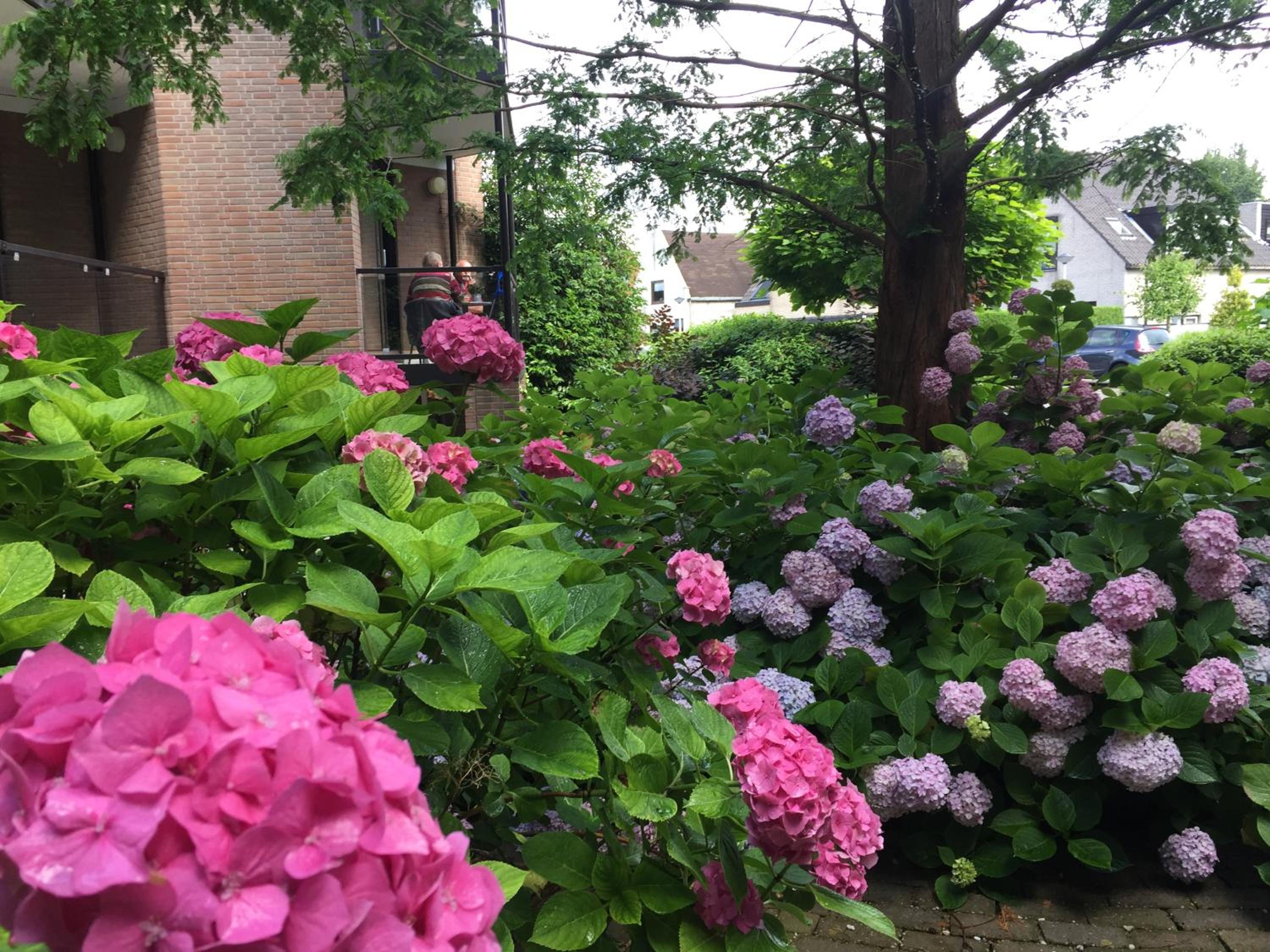 Comfort Room with balcony (courtyard view)