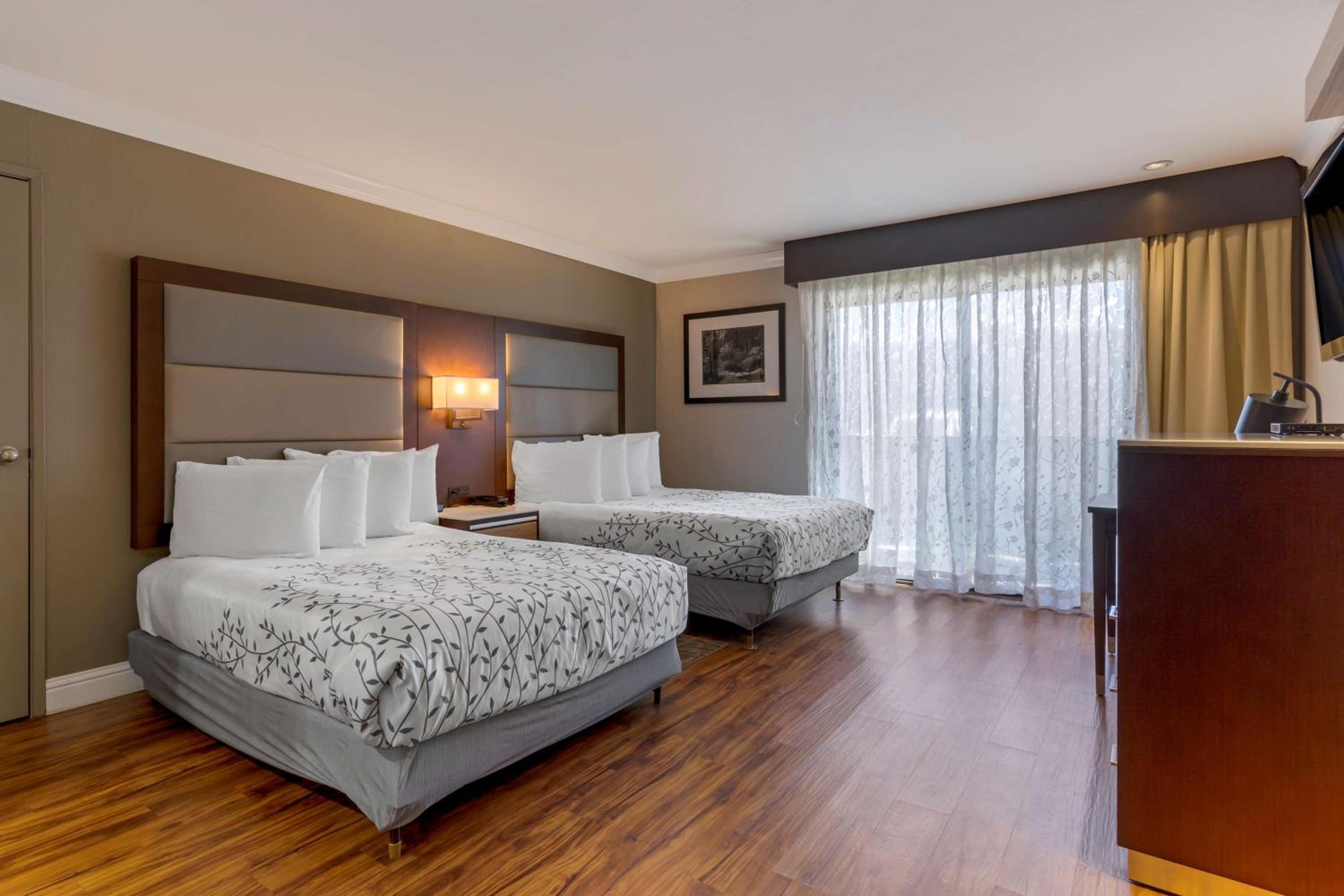 Double Room with Two Double Beds - Disability Access