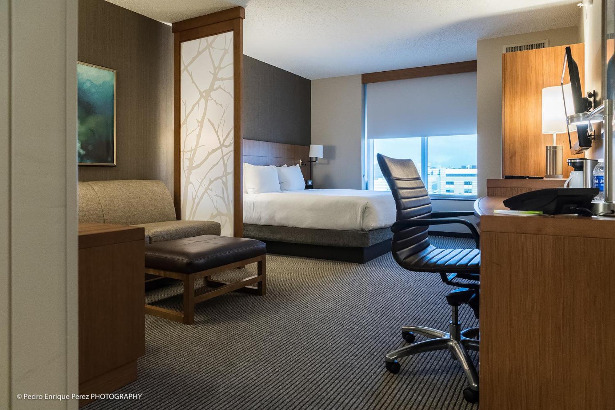 King Room with Sofa Bed