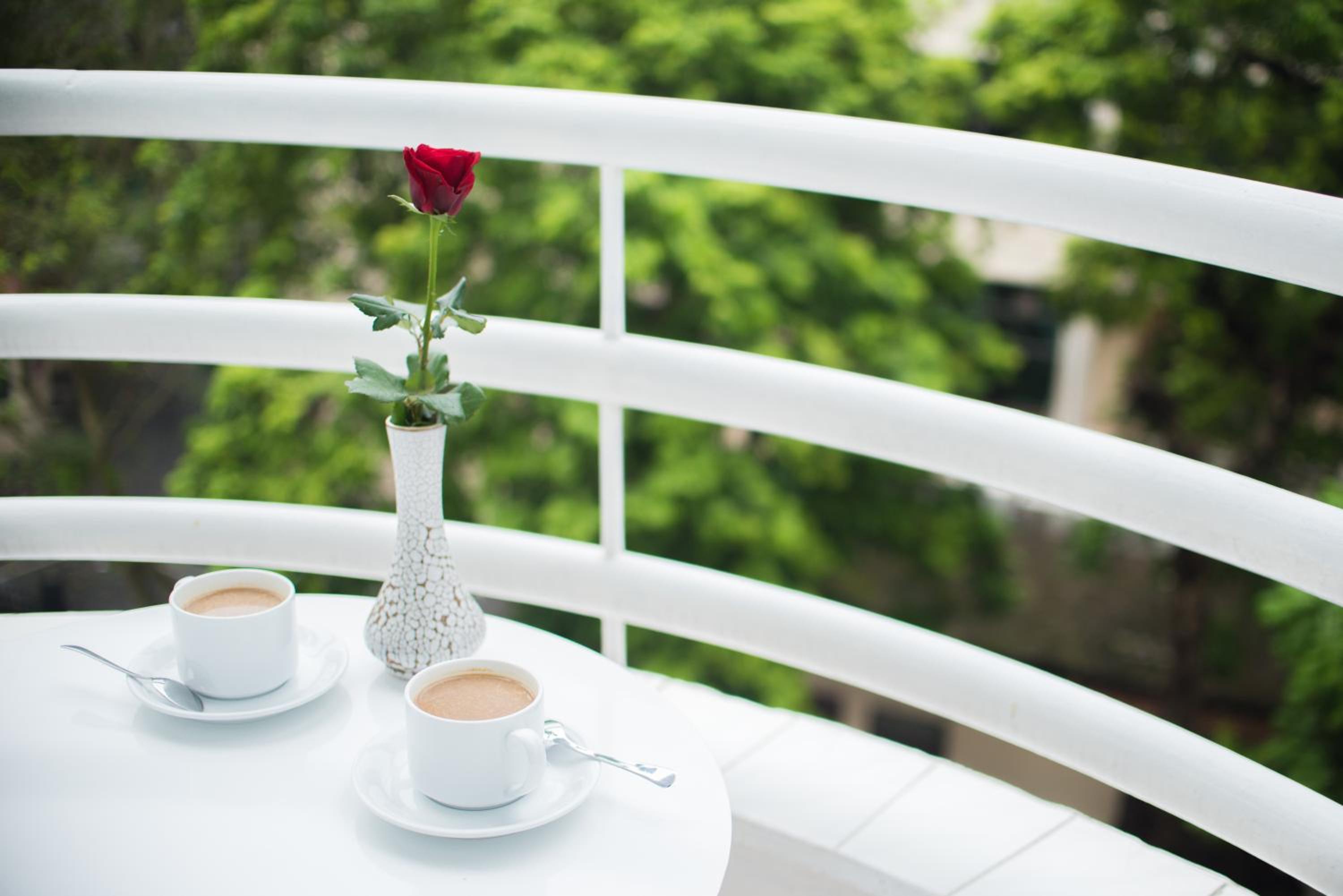 Superior Double or Twin Room with City View