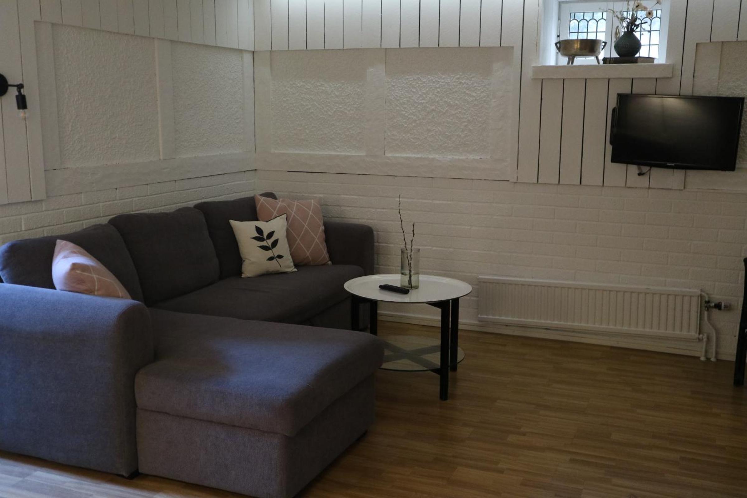 Family Room - Basement