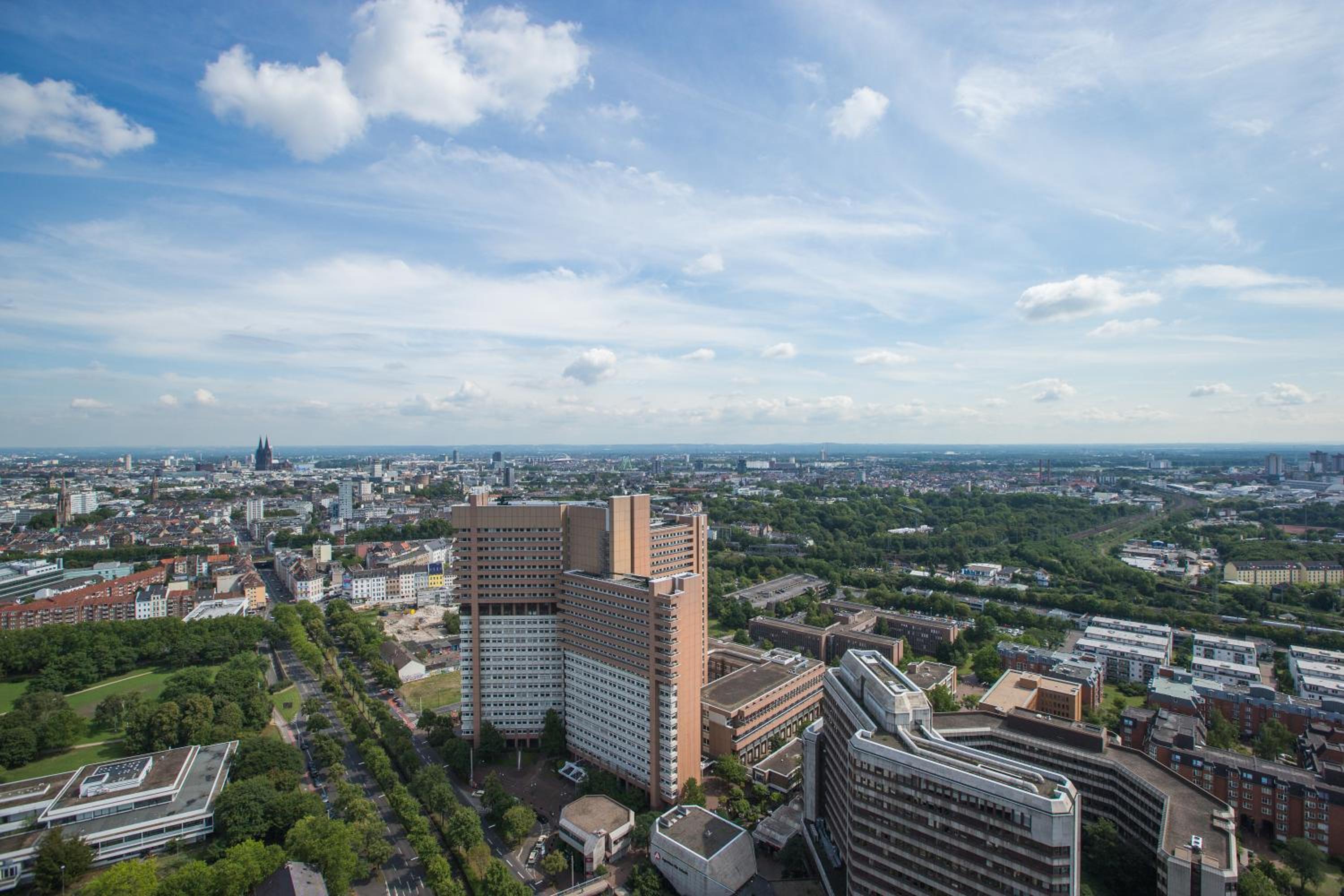Superior One-Bedroom Apartment