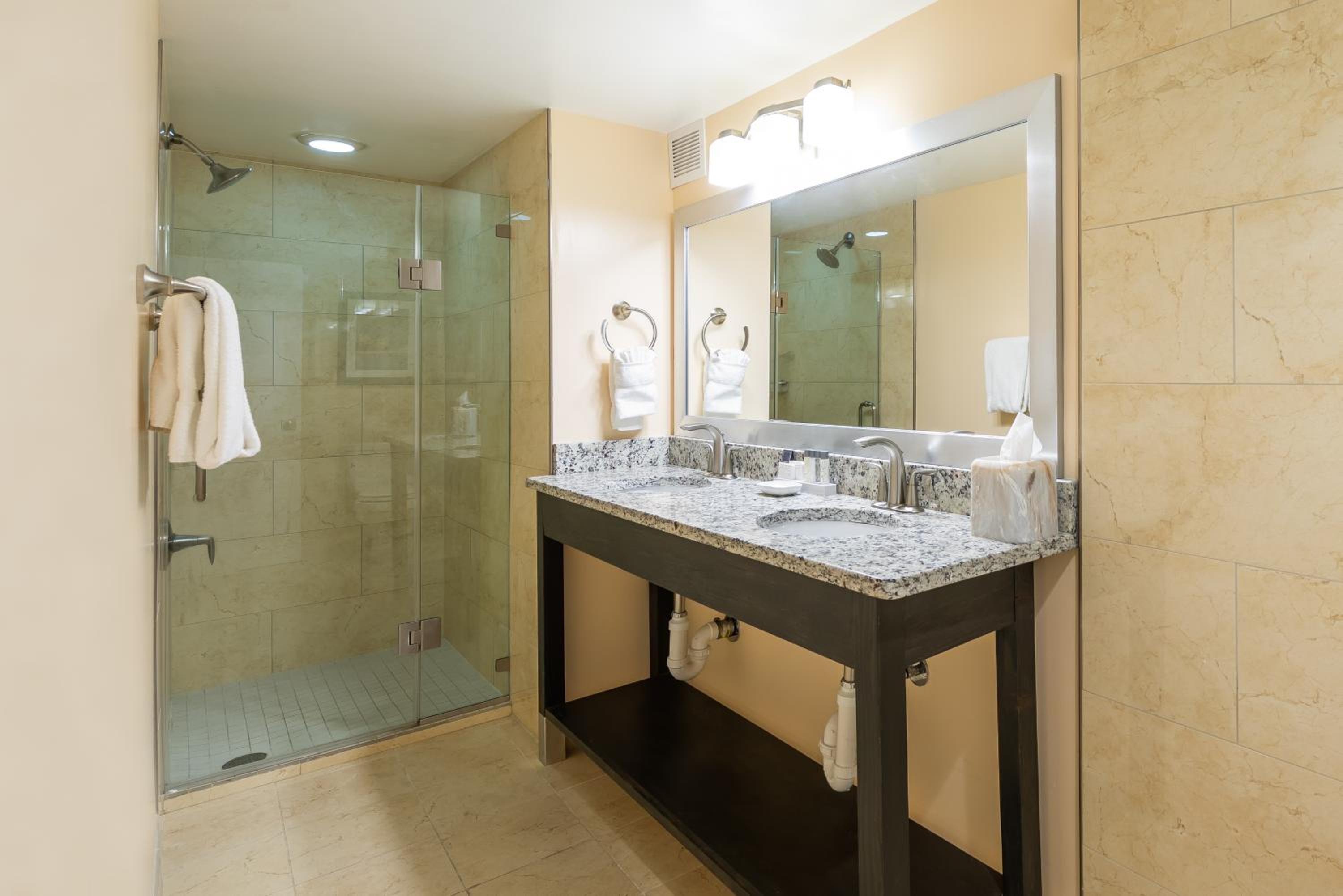 Senate Room with King Bed