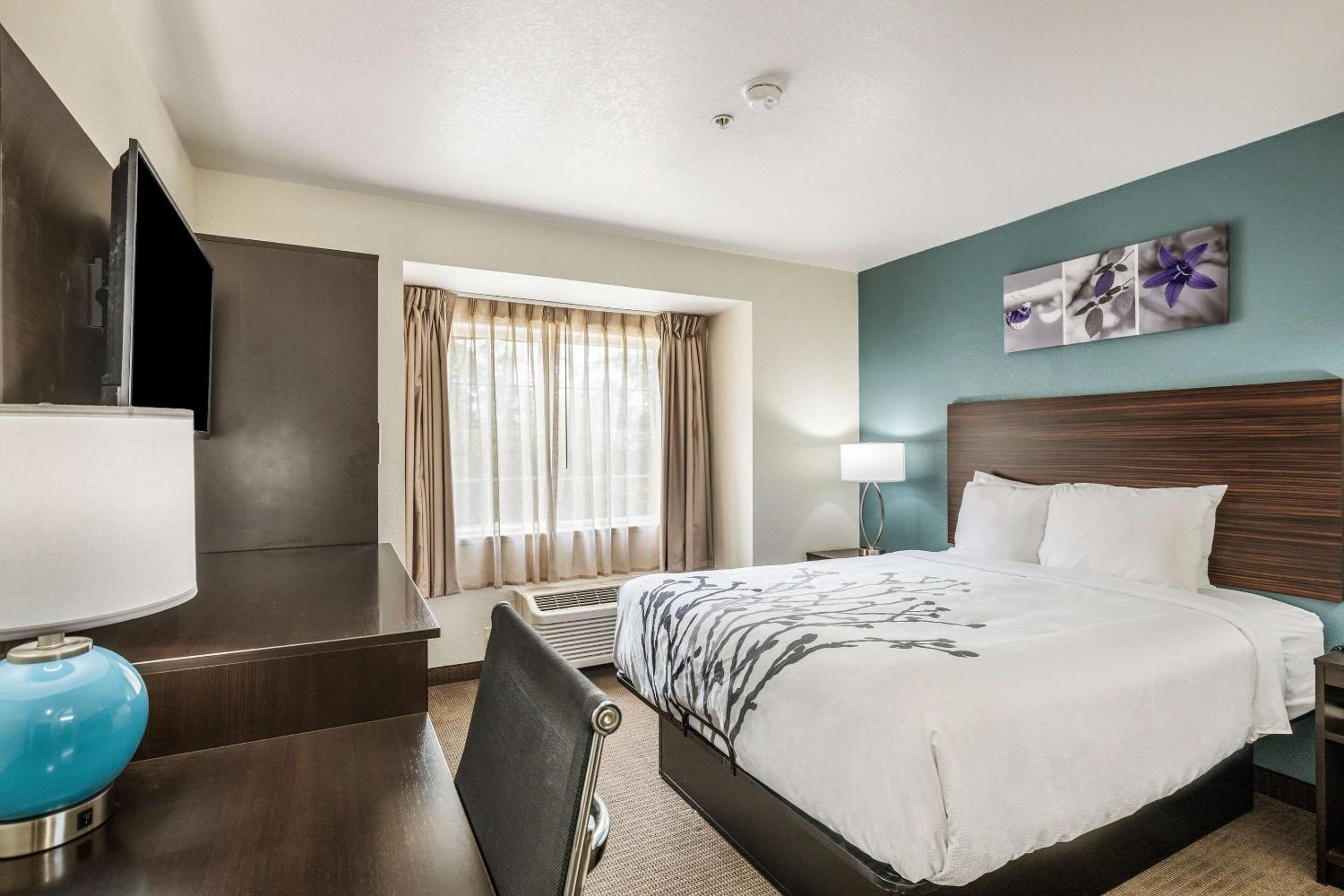 Standard Queen Room - Non Smoking