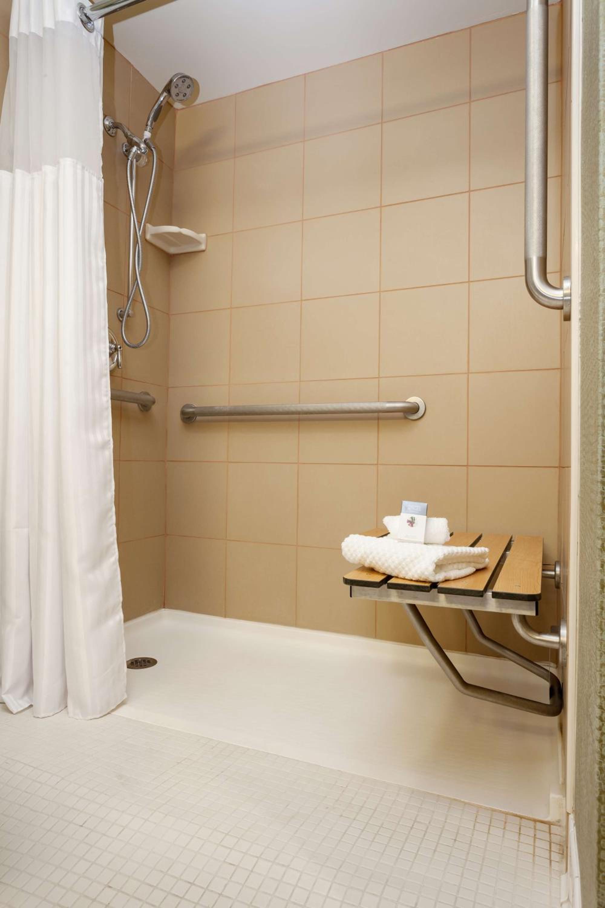 Queen Room - Mobility/Hearing Accessible with Roll-In Shower