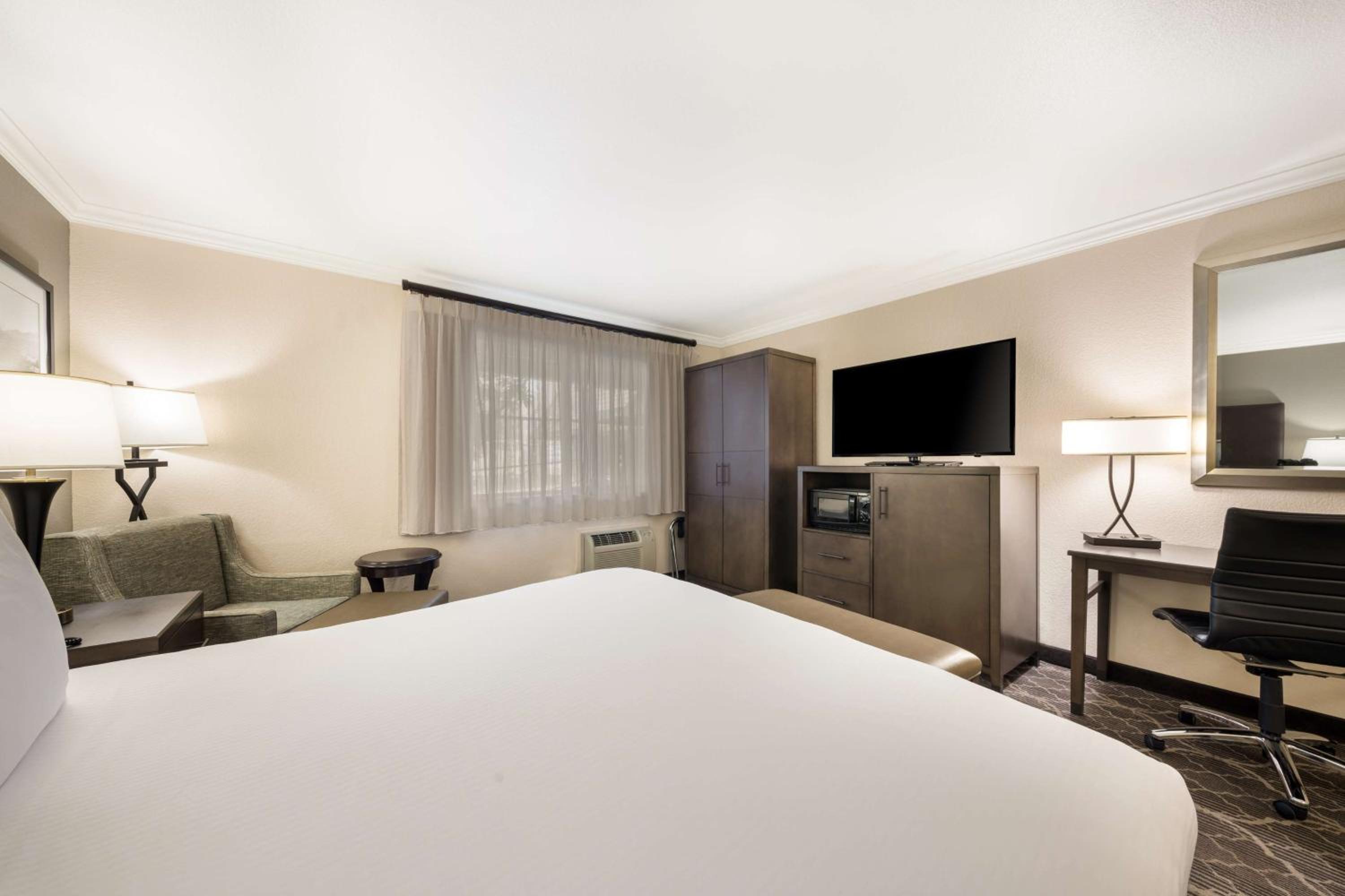 King Room - Pet Friendly/Non-Smoking