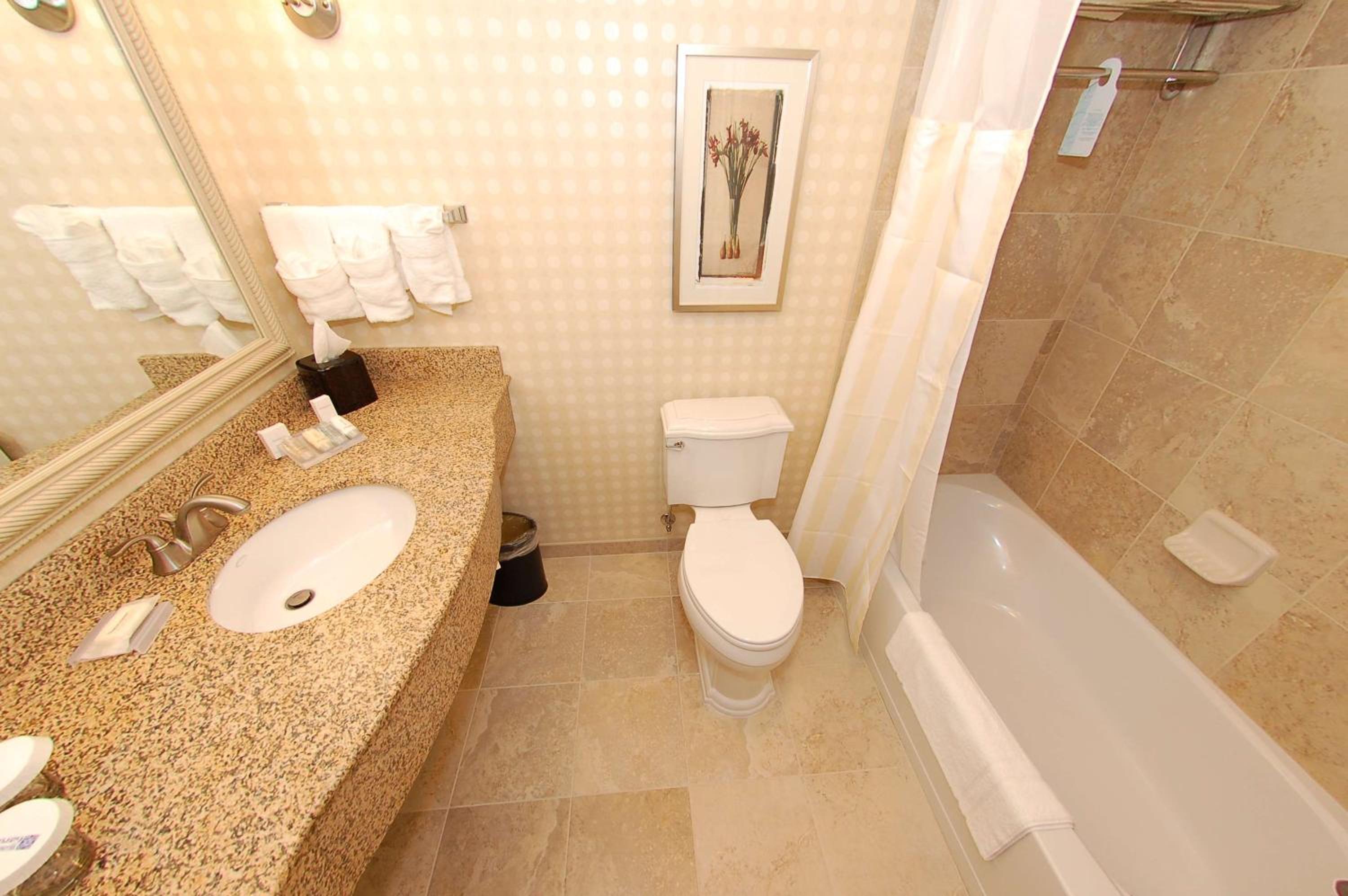 King Room with Bath Tub 