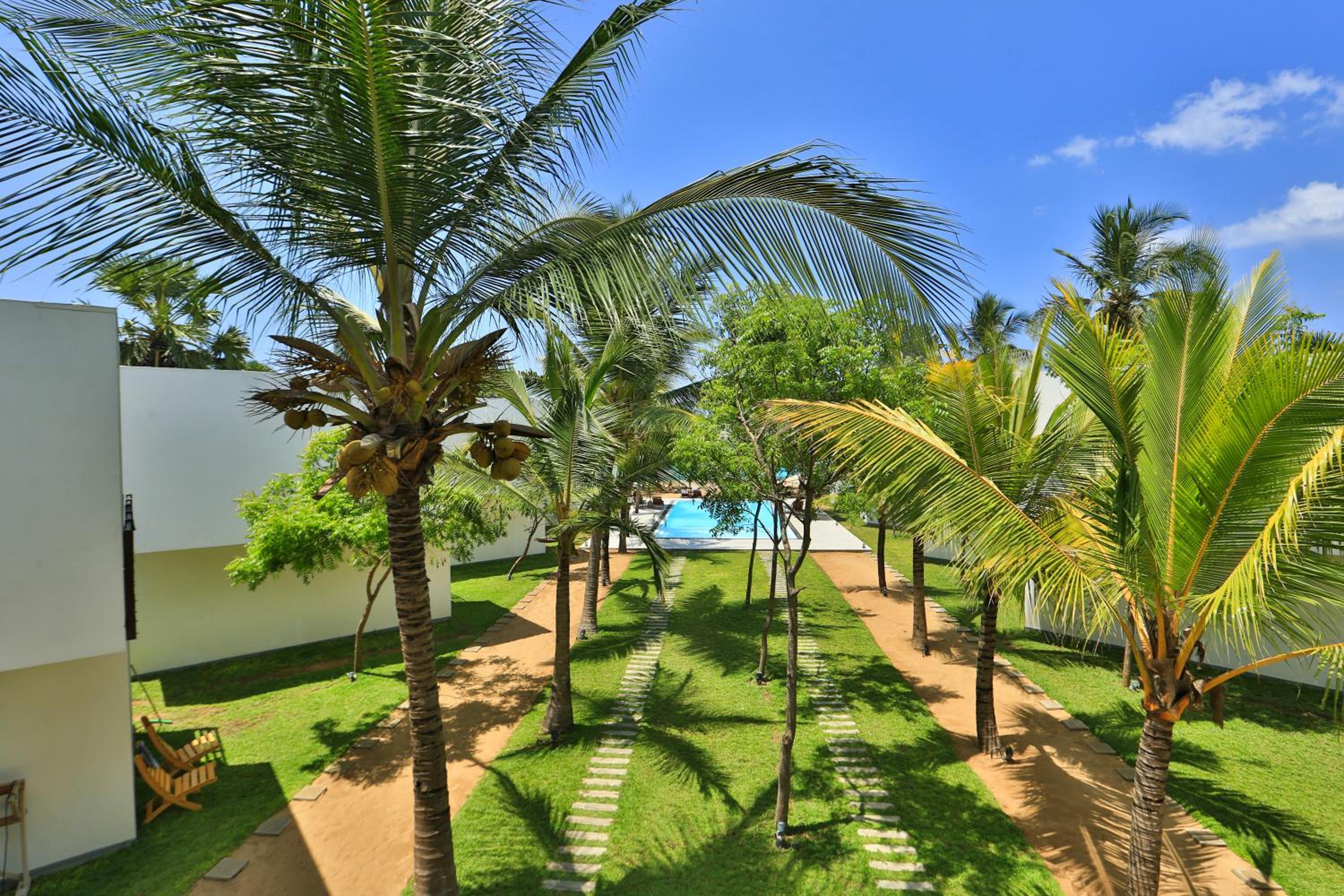 Standard Double Room- Pool/Garden View