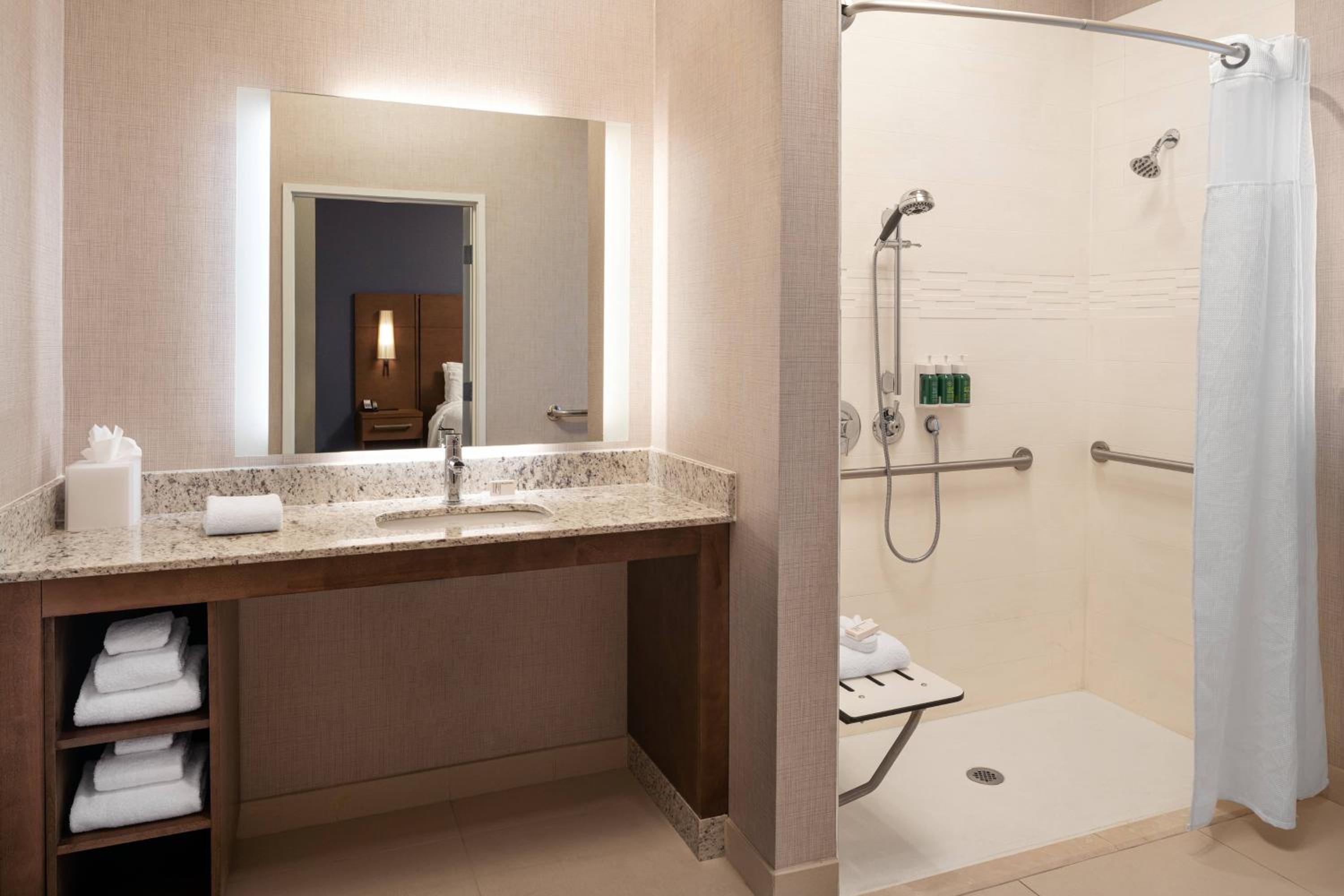 1 Bedroom Suite, 1 King