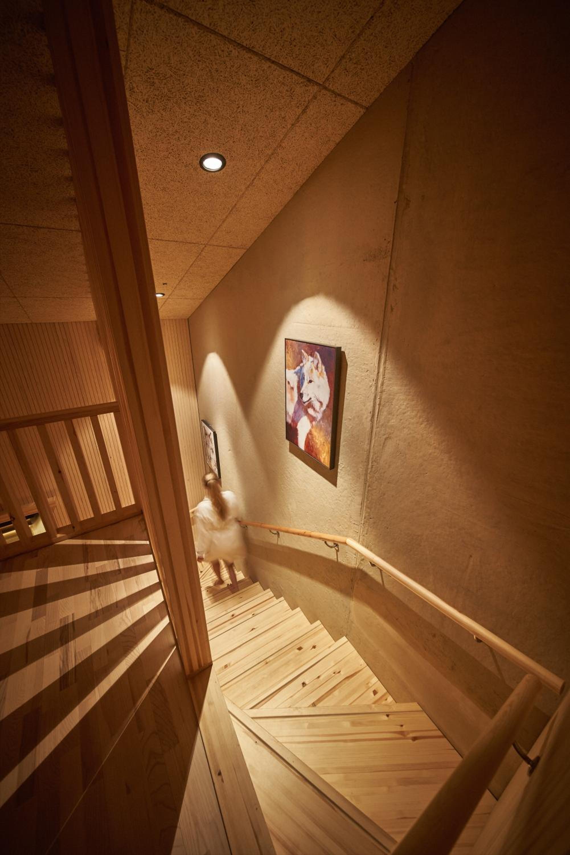 Aurora Suite (Double bed)