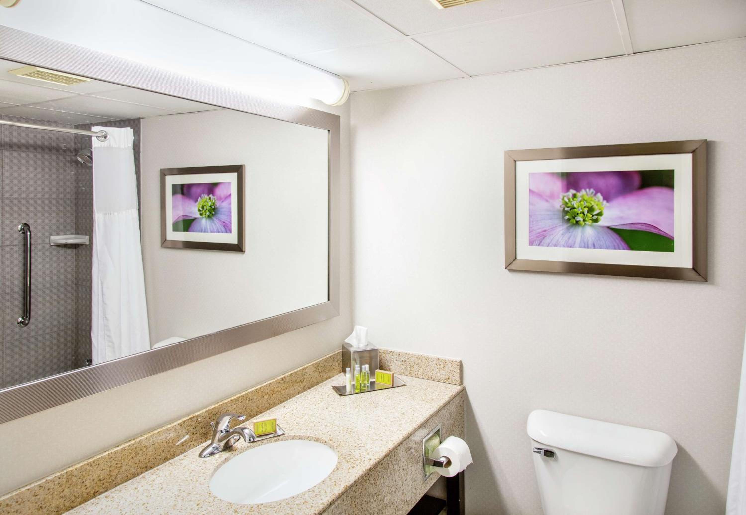 King Room with Sofa Bed - Non-Smoking