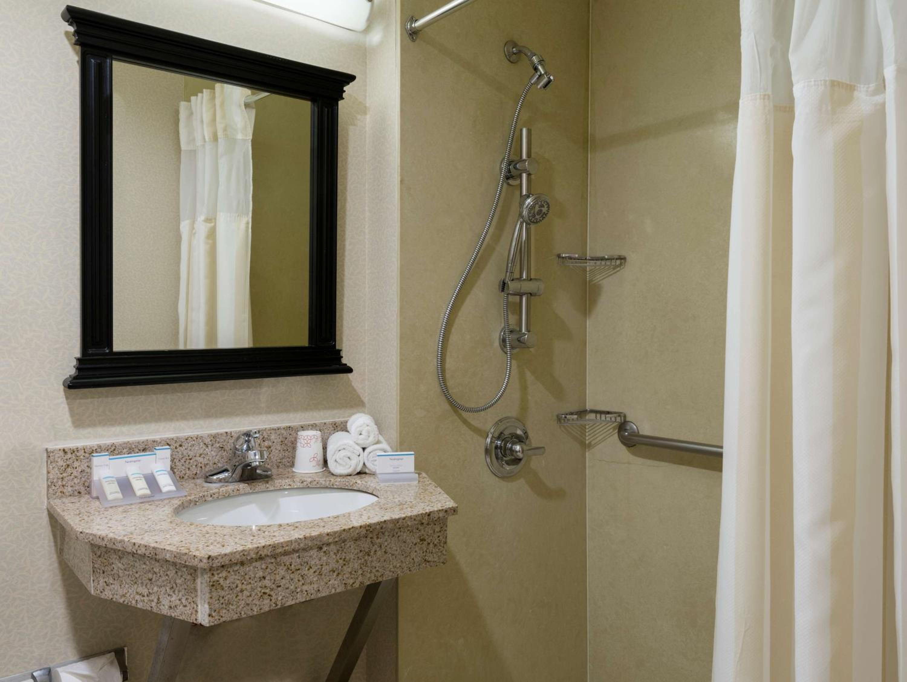 King Room with Roll-In Shower - Mobility Access