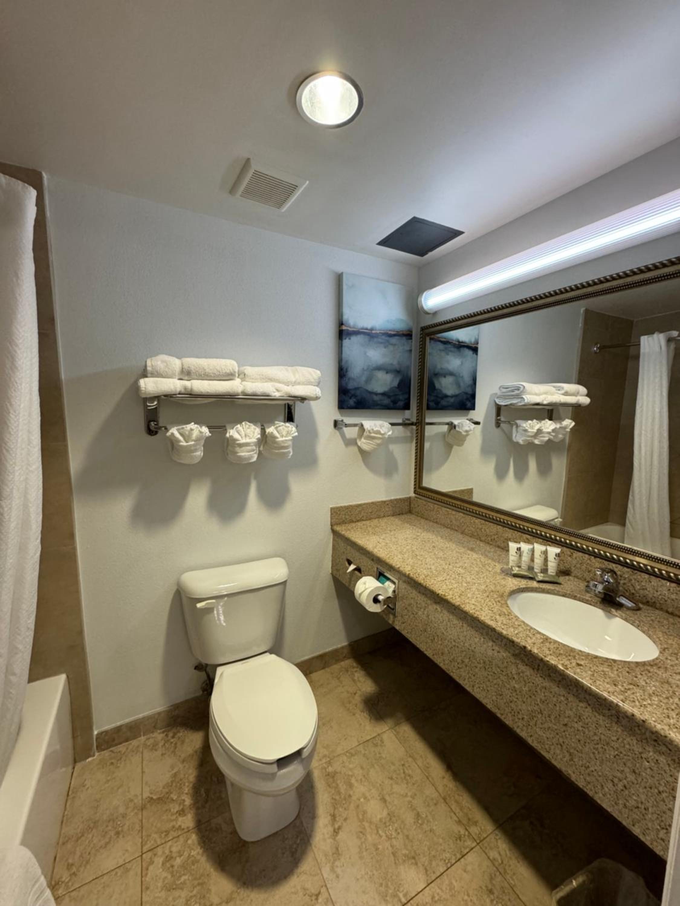 King Studio with Sofa Bed - Non-Smoking