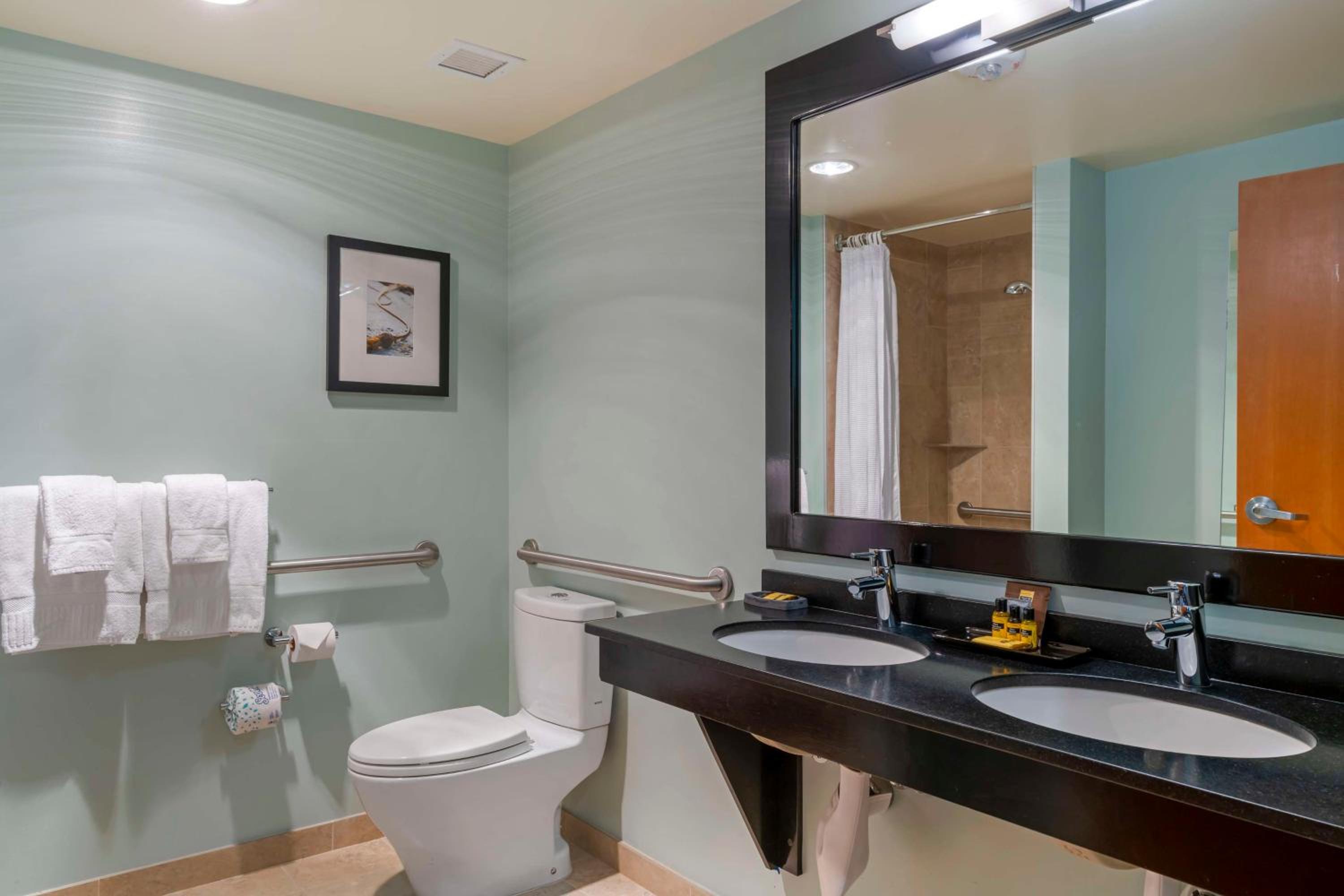 Deluxe King Room with River View - Walk In Shower - Mobility Accessible