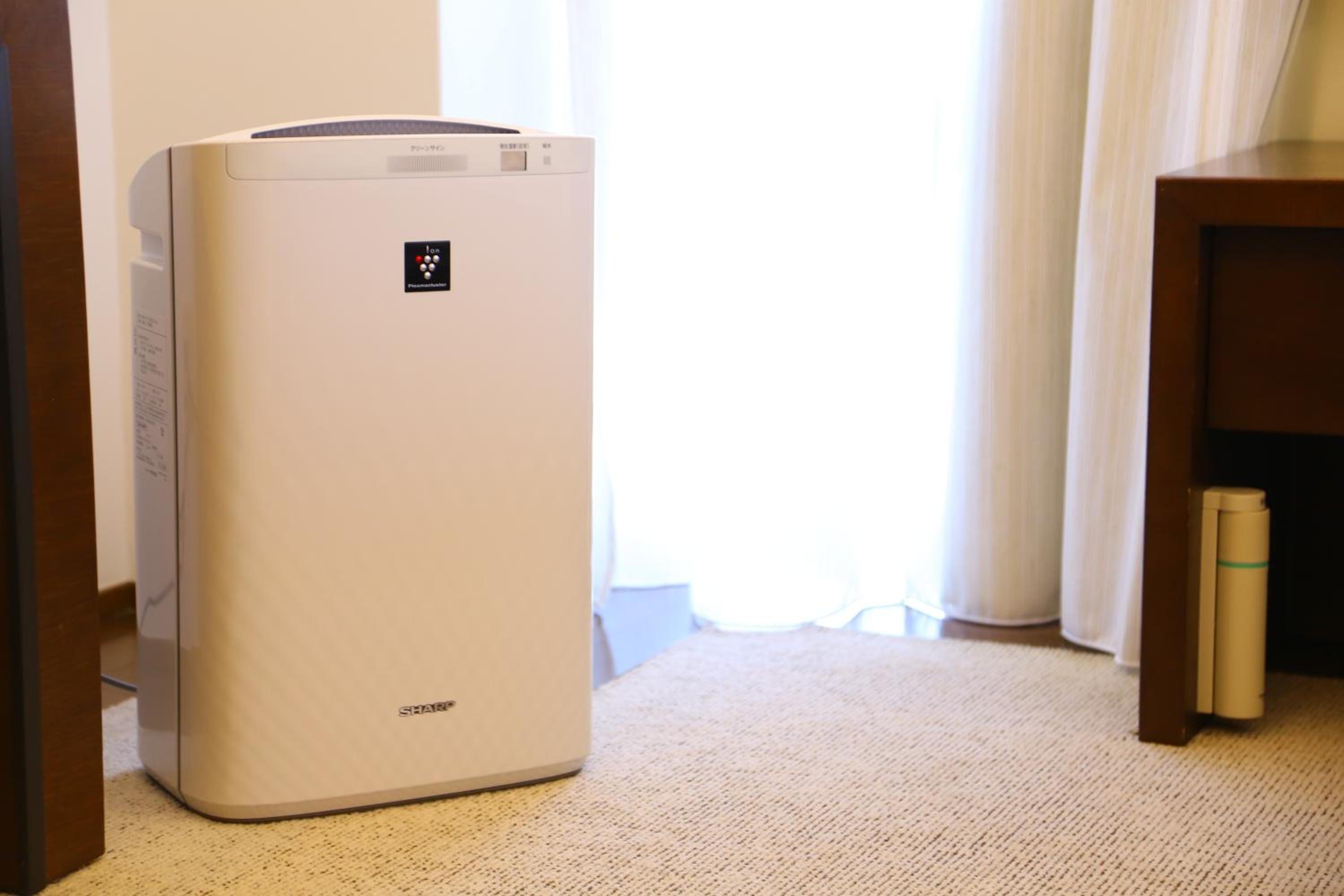 Superior Room with Loft