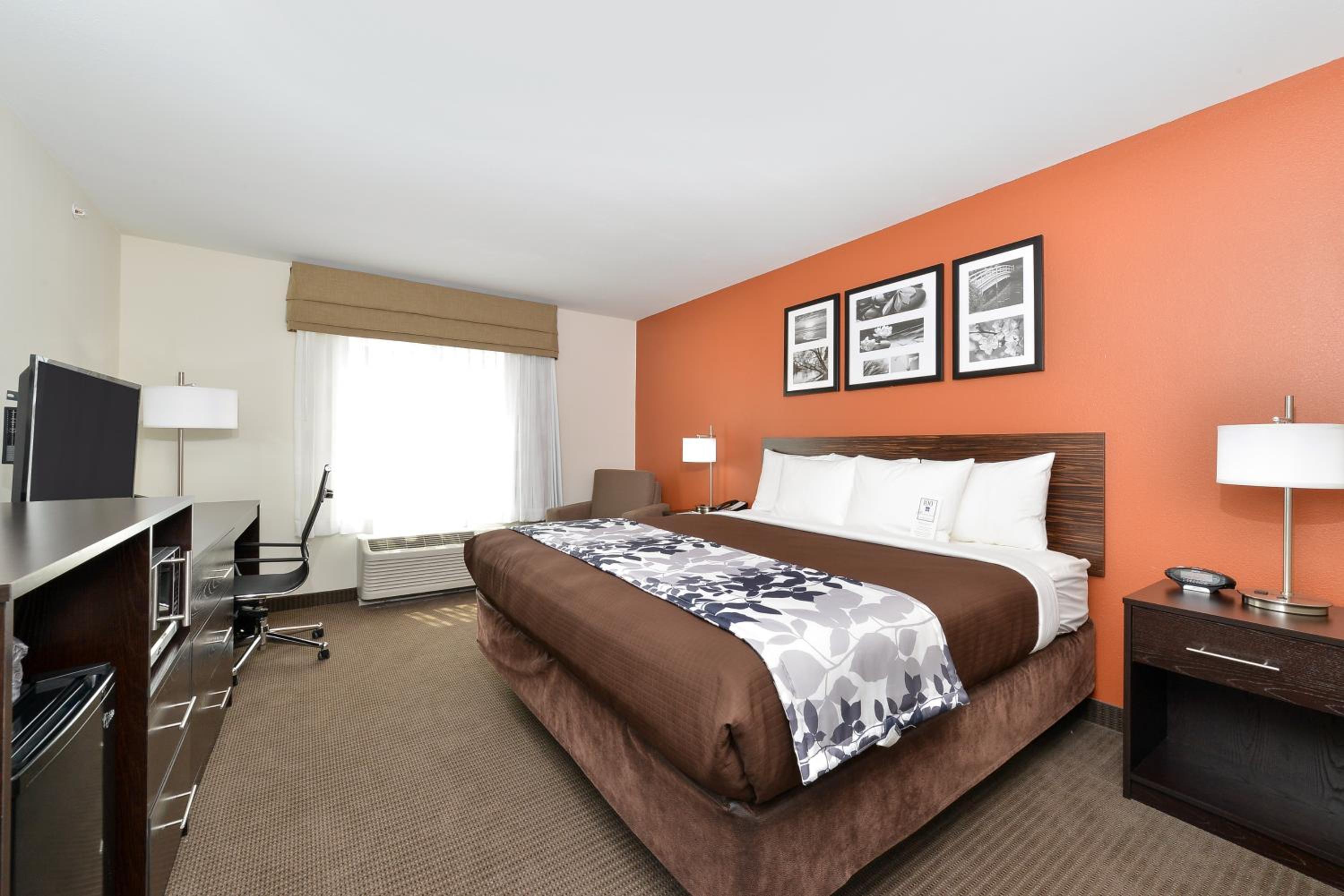 King Room - Non-Smoking