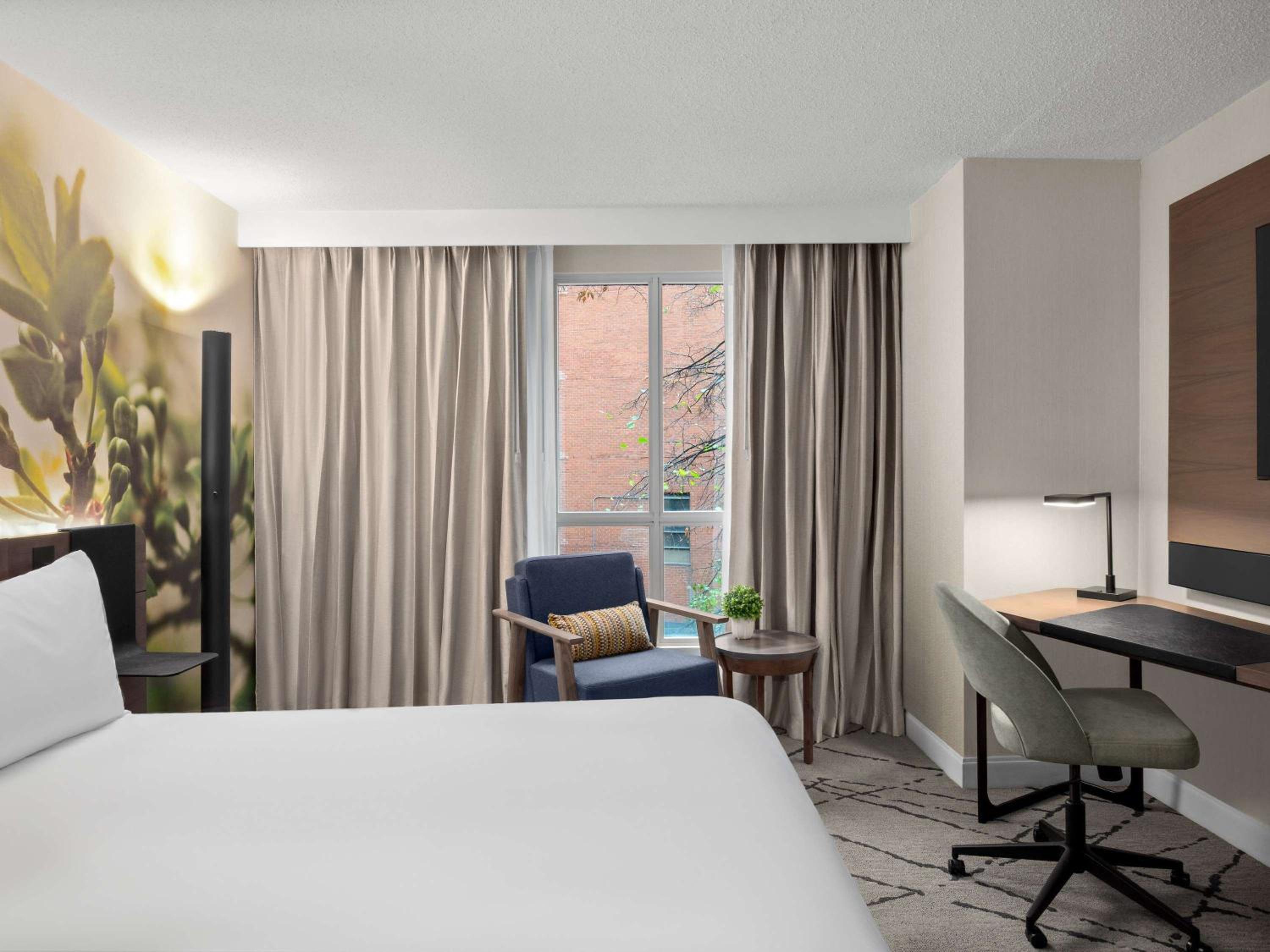 Superior King Room - Renovated