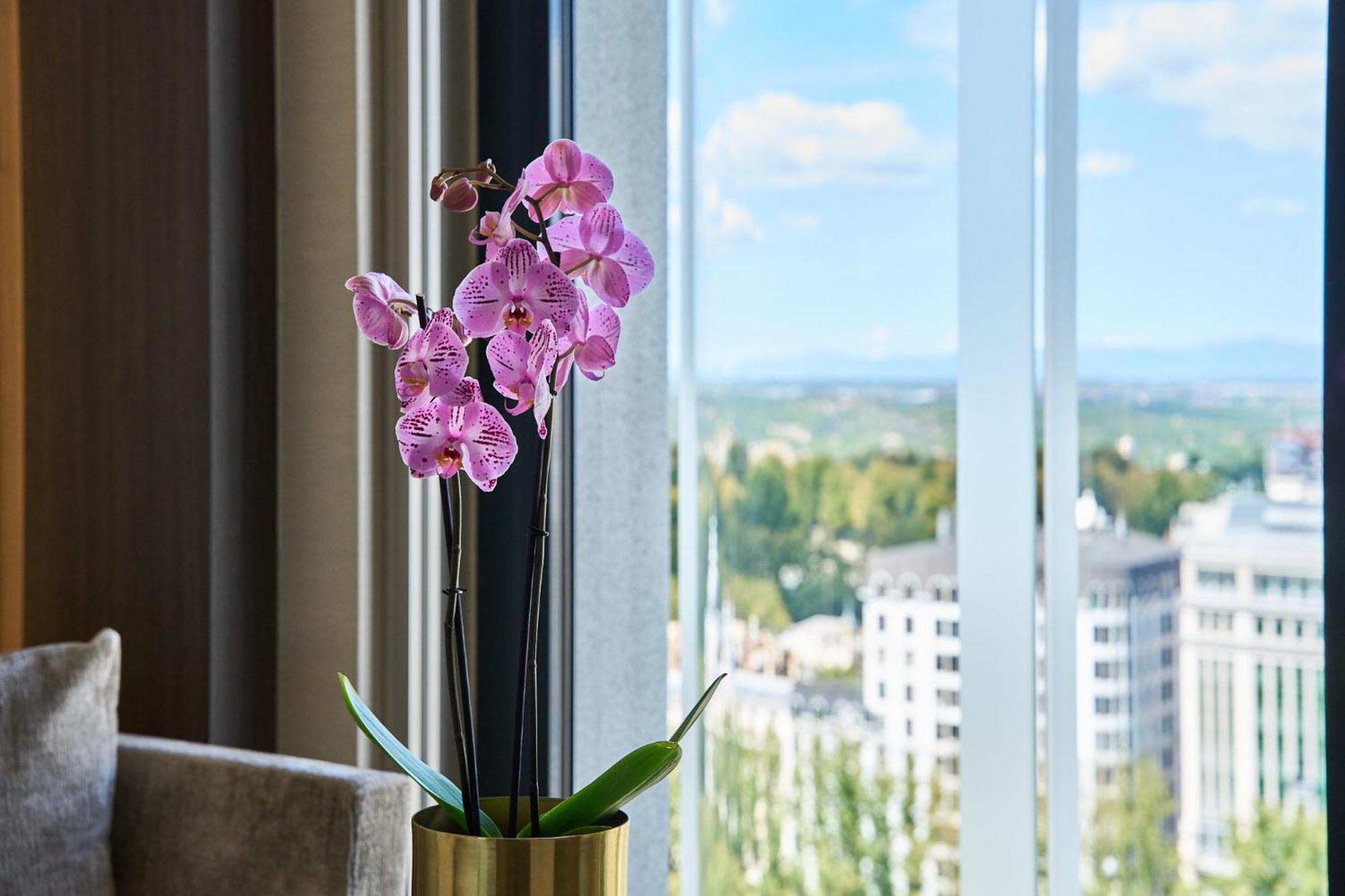 Premium Double or Twin Room