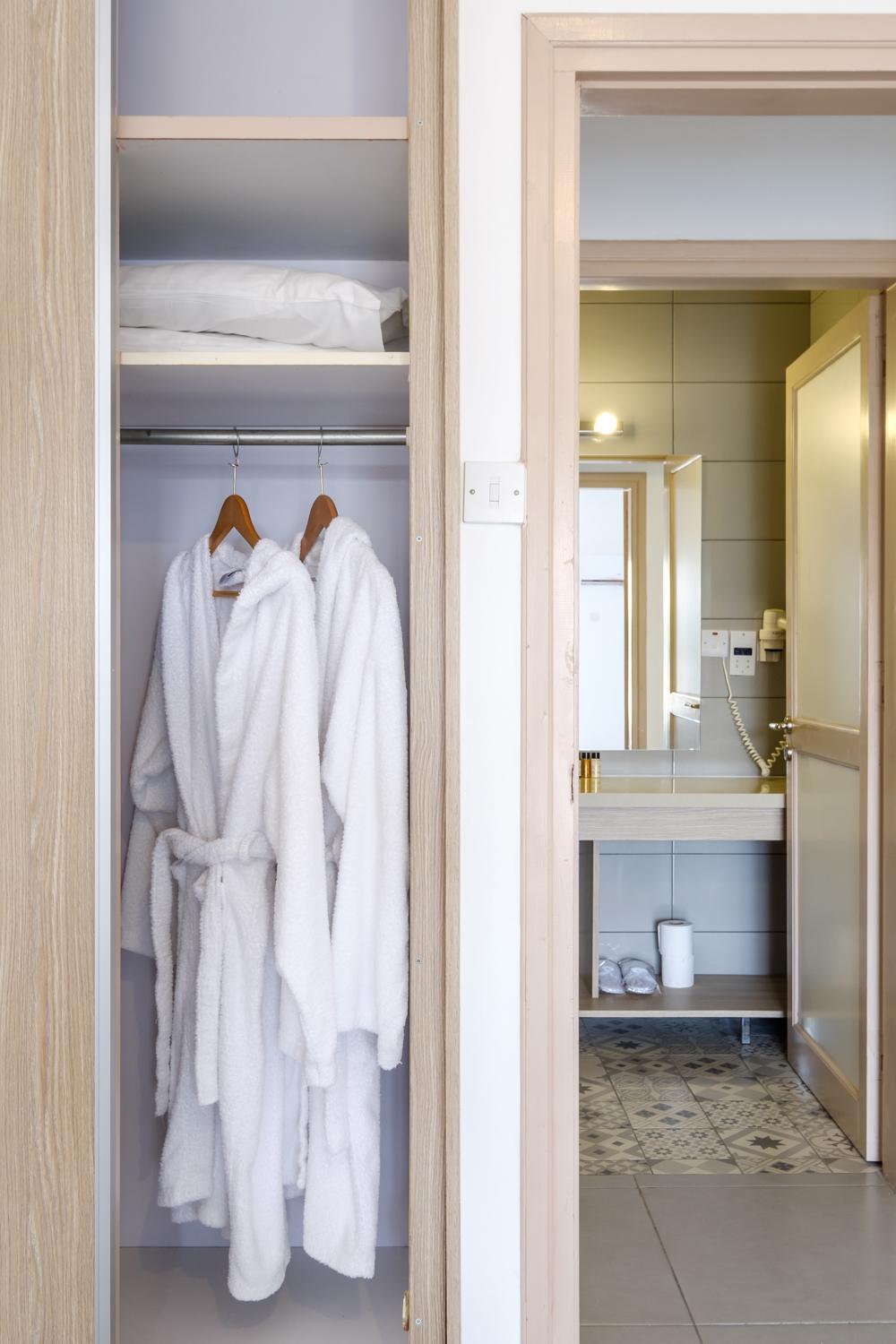 Deluxe One-Bedroom Apartment