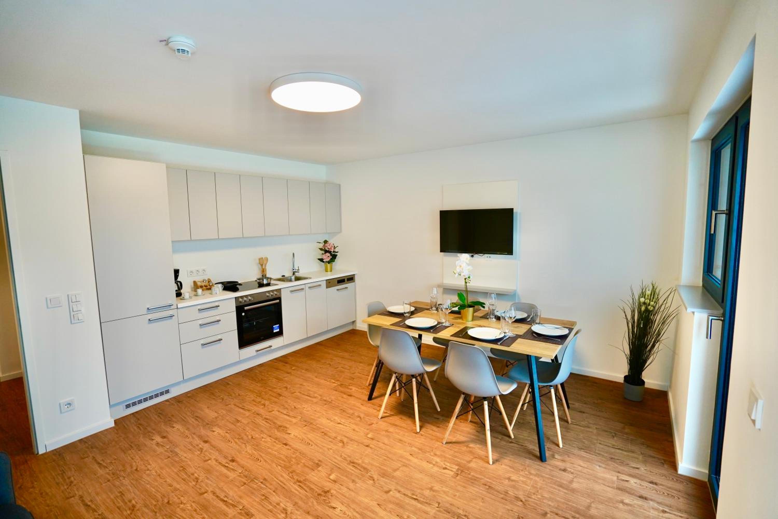 Apartment with Mountain View