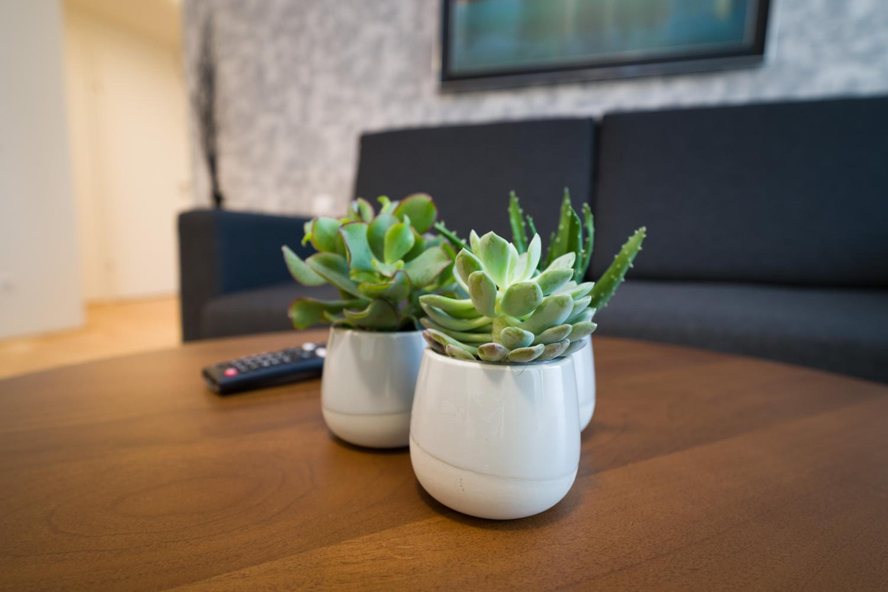 Two-Bedroom Apartment with Balcony