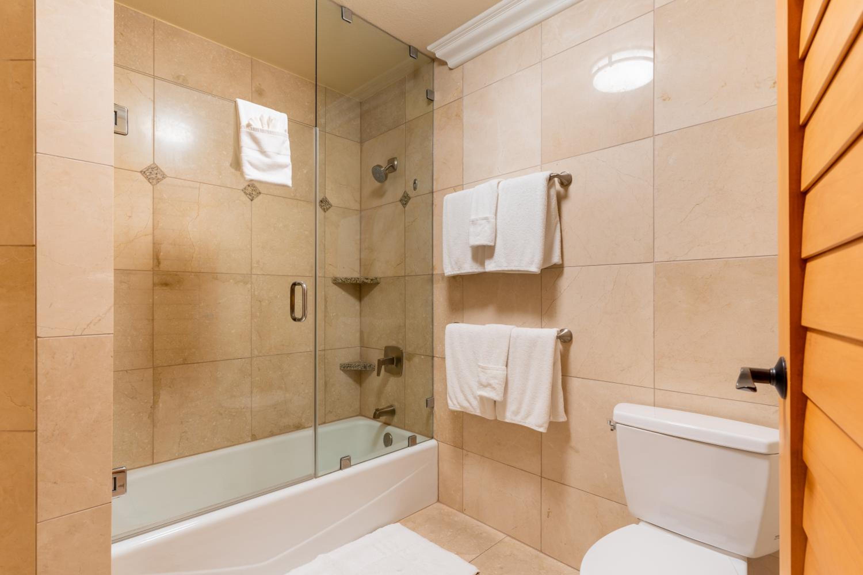 Full Ocean View Junior Suite Queen