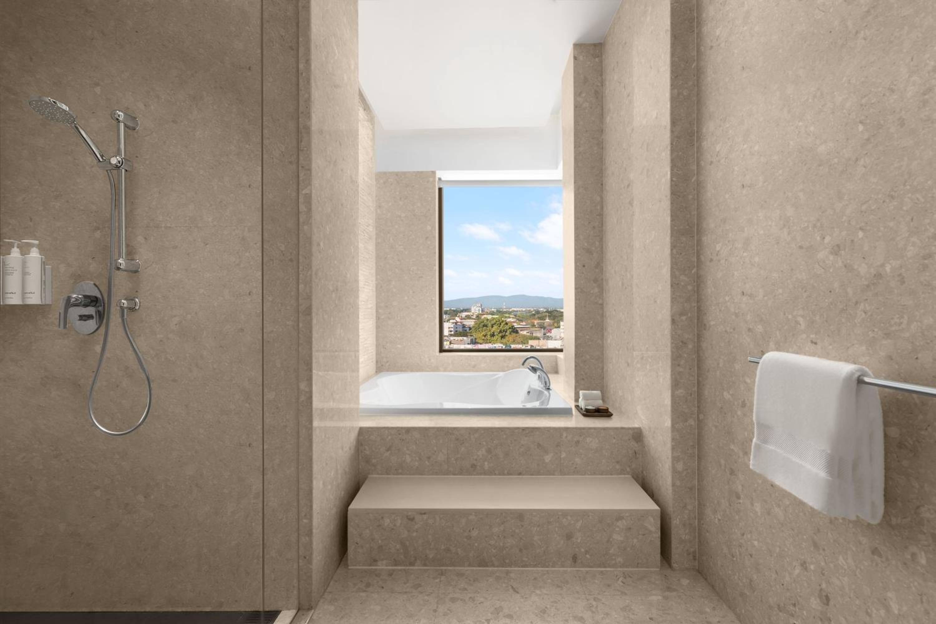 Royal Suite - 2 Bedroom - High Floor - Club Lounge Access - Mountain View