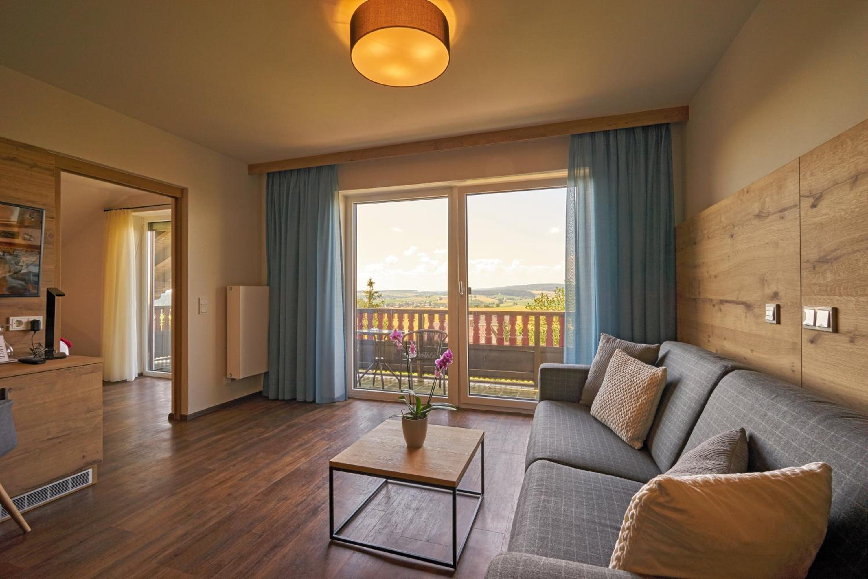 Studio with Sofa Bed