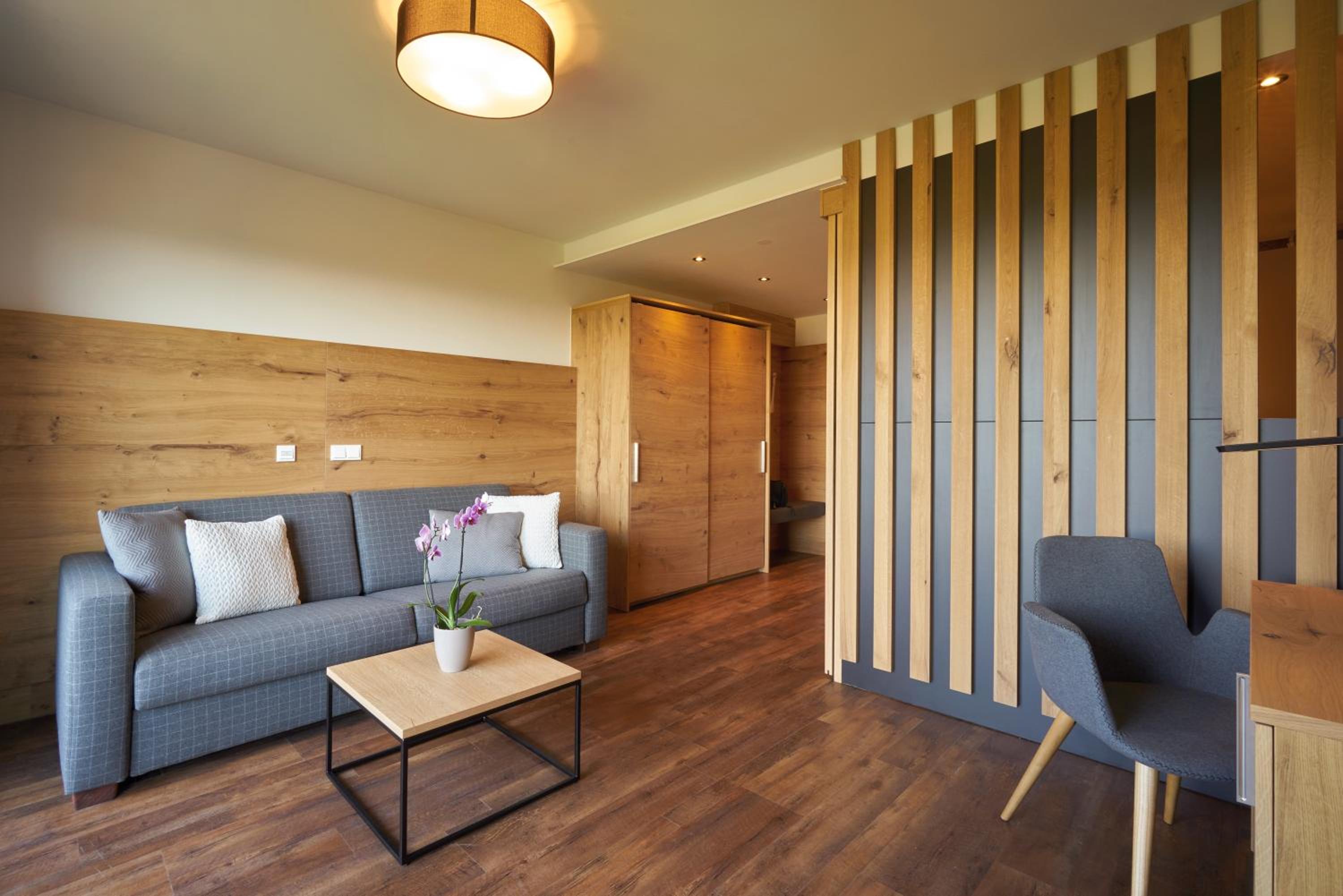 Studio with Sofa Bed