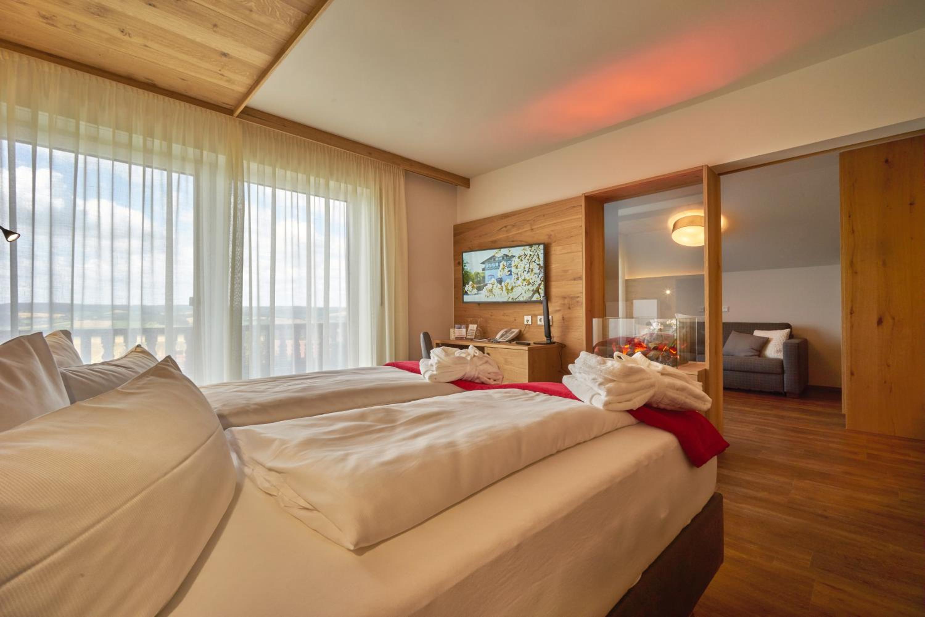 Studio with Mountain View