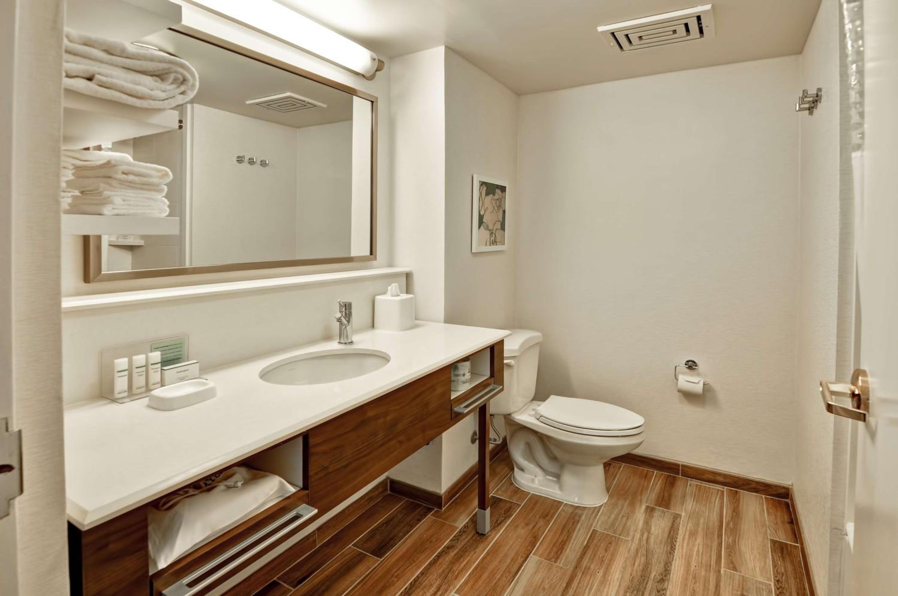 One-Bedroom King Suite with Sofa Bed - Non-Smoking