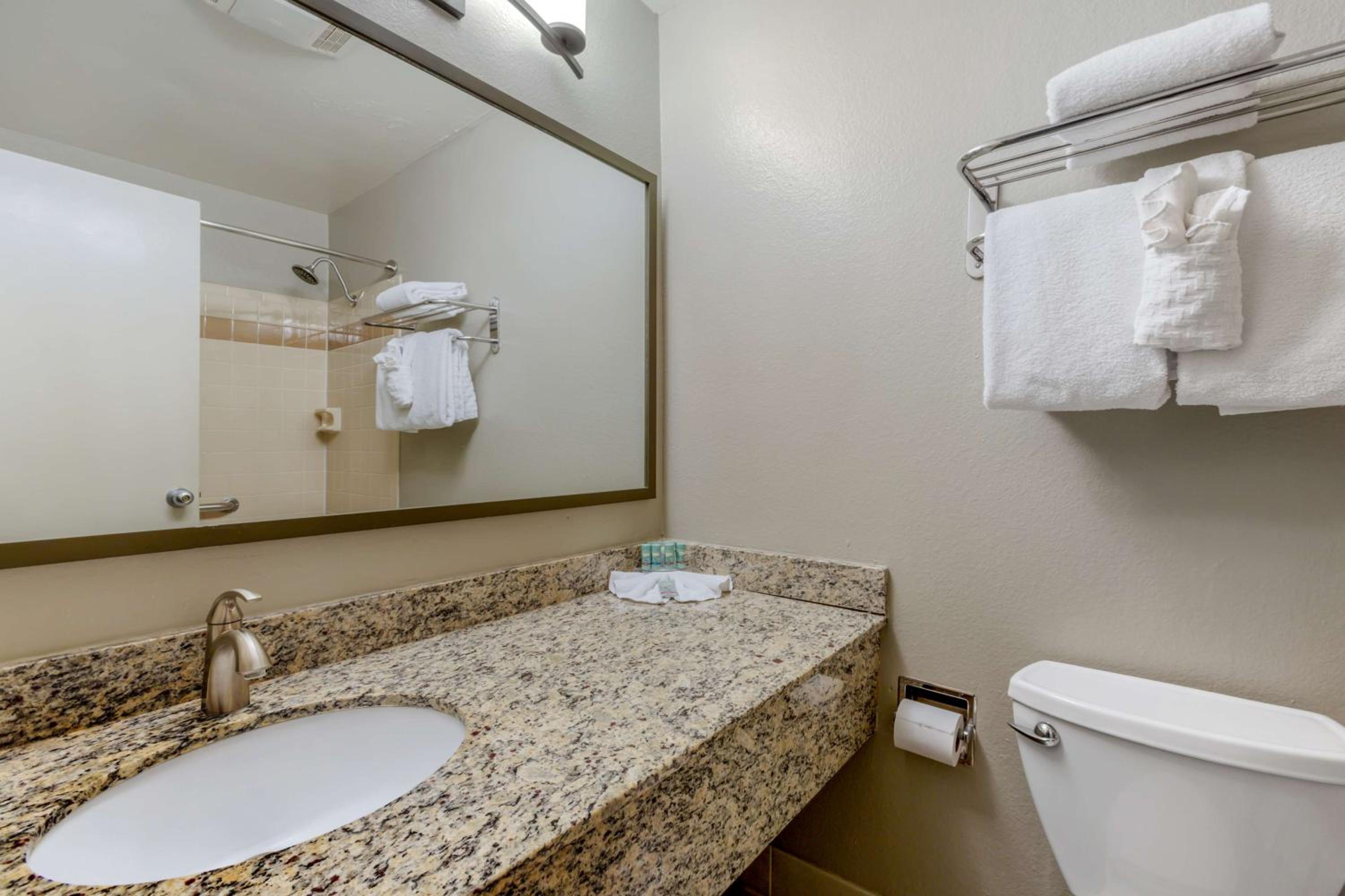 King Room with Roll-In Shower - Disability Access