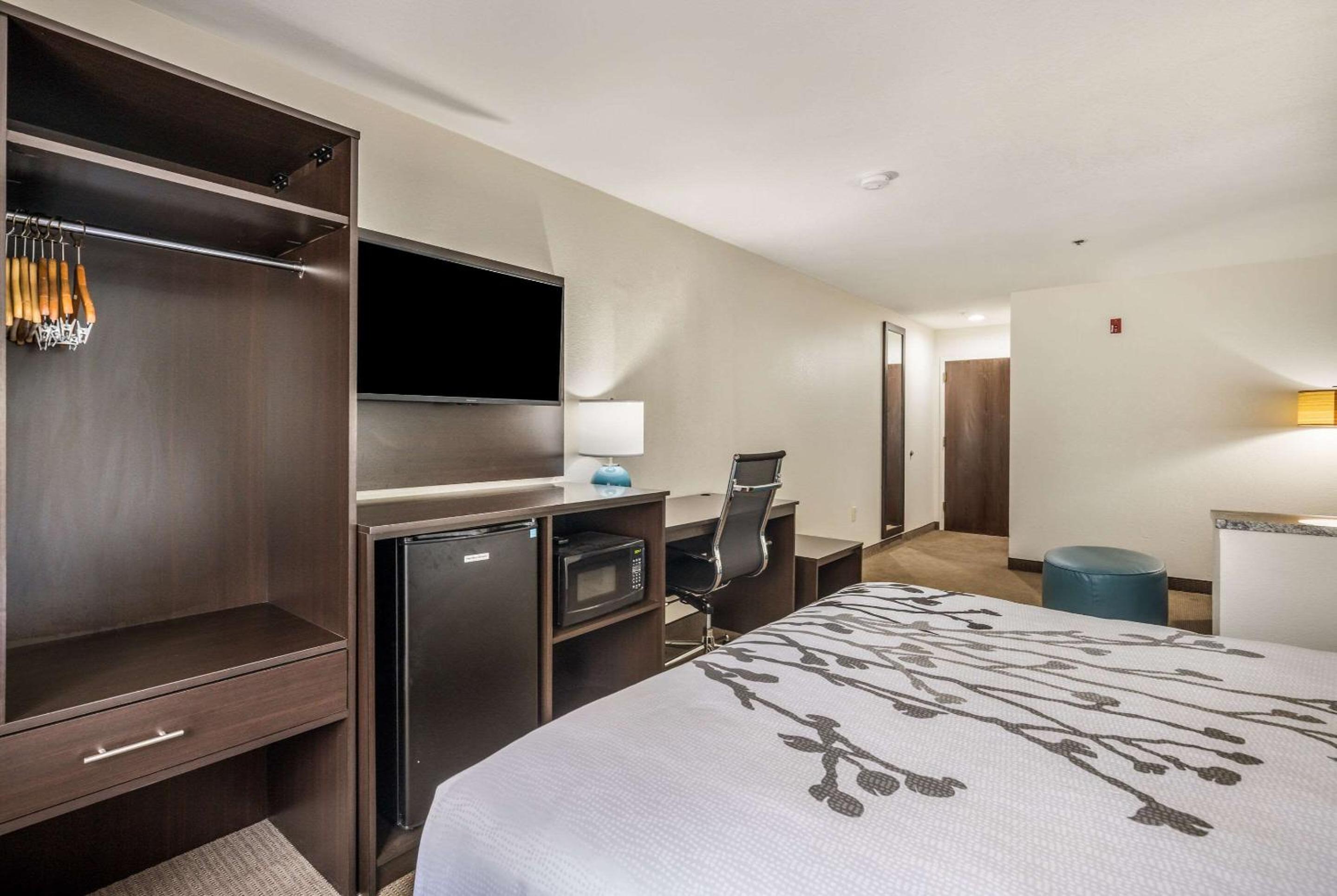 Queen Suite with Sofabed - Non Smoking