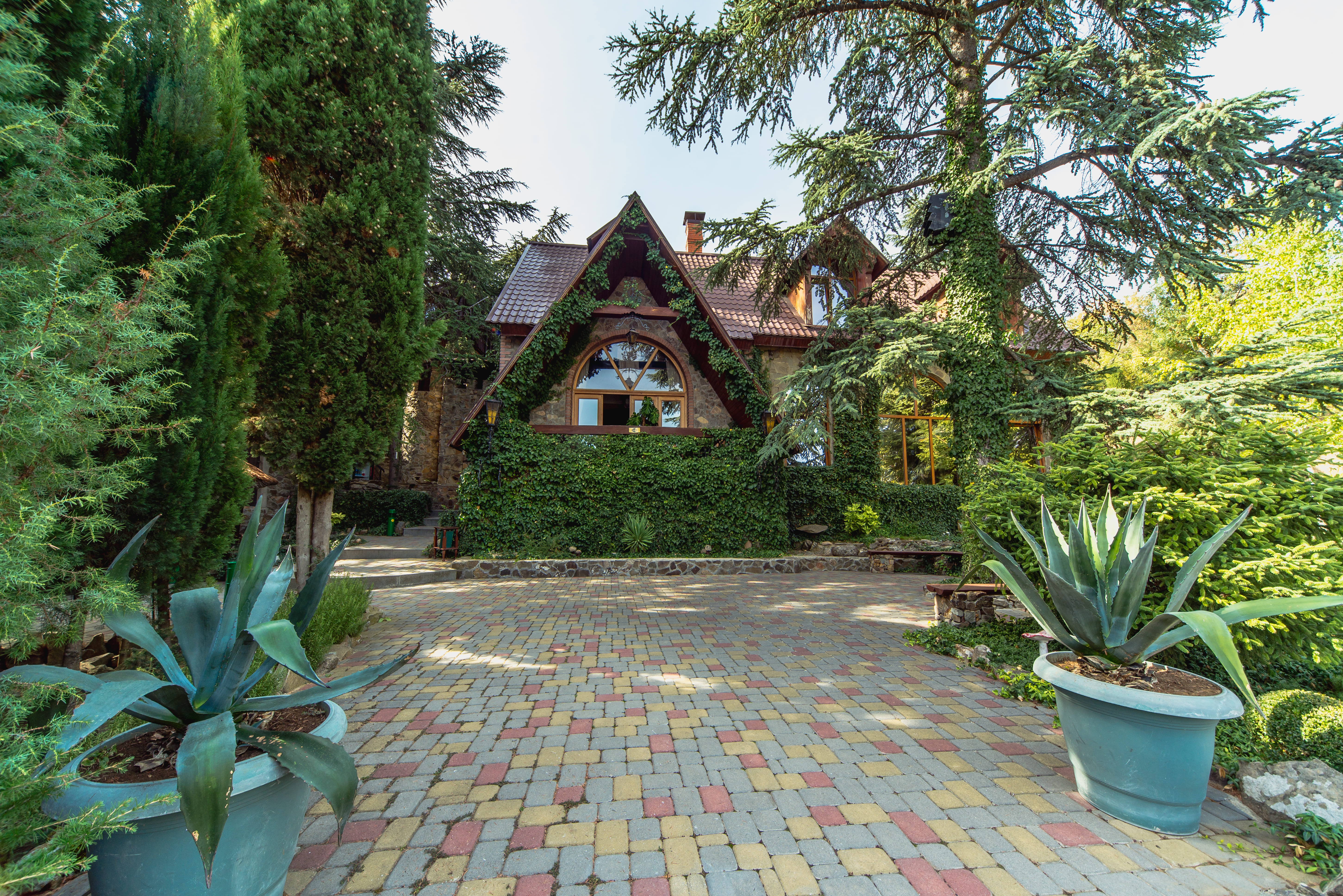 Двухместный номер Делюкс с 1 кроватью