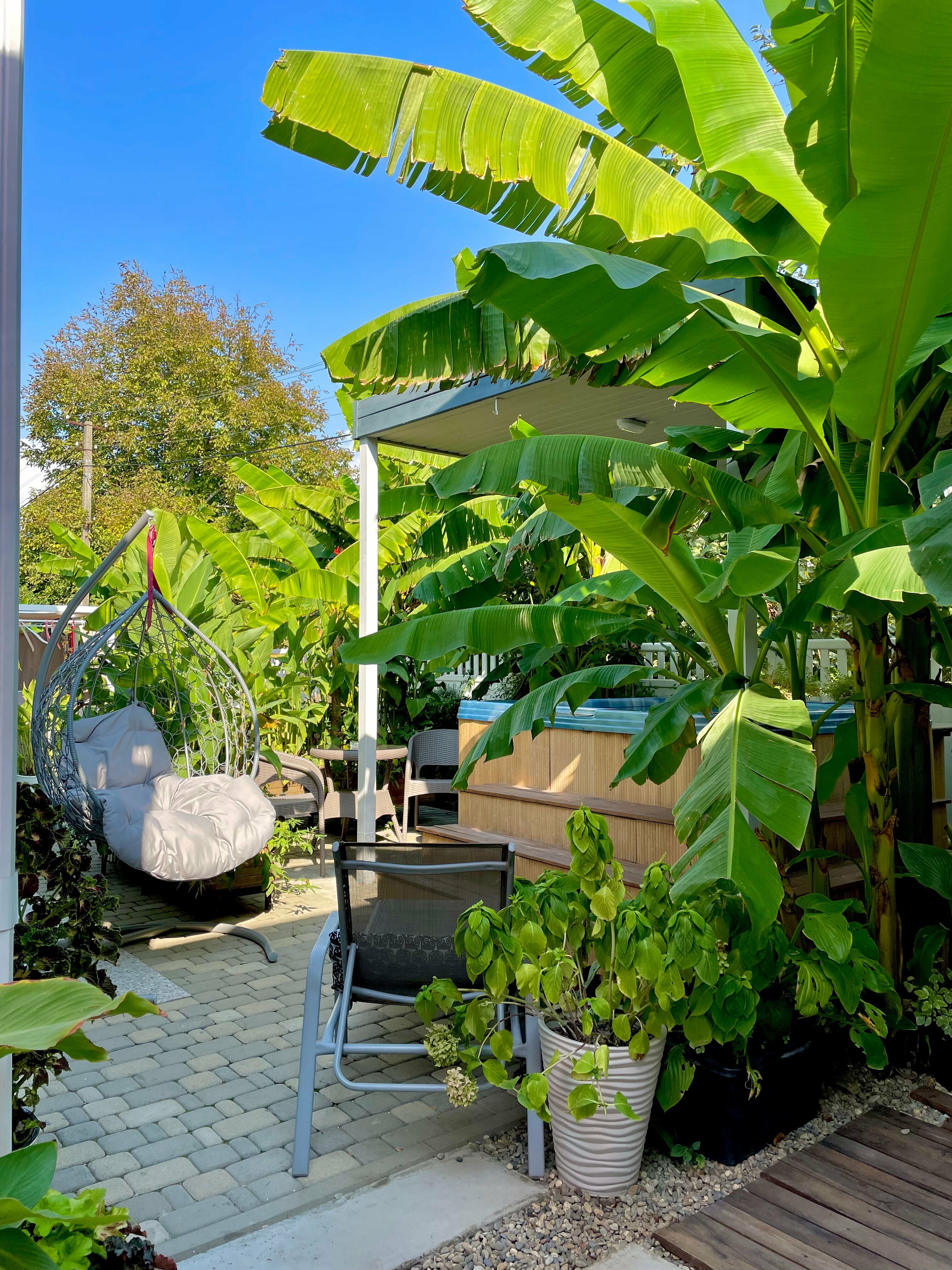 Номер 1 корица