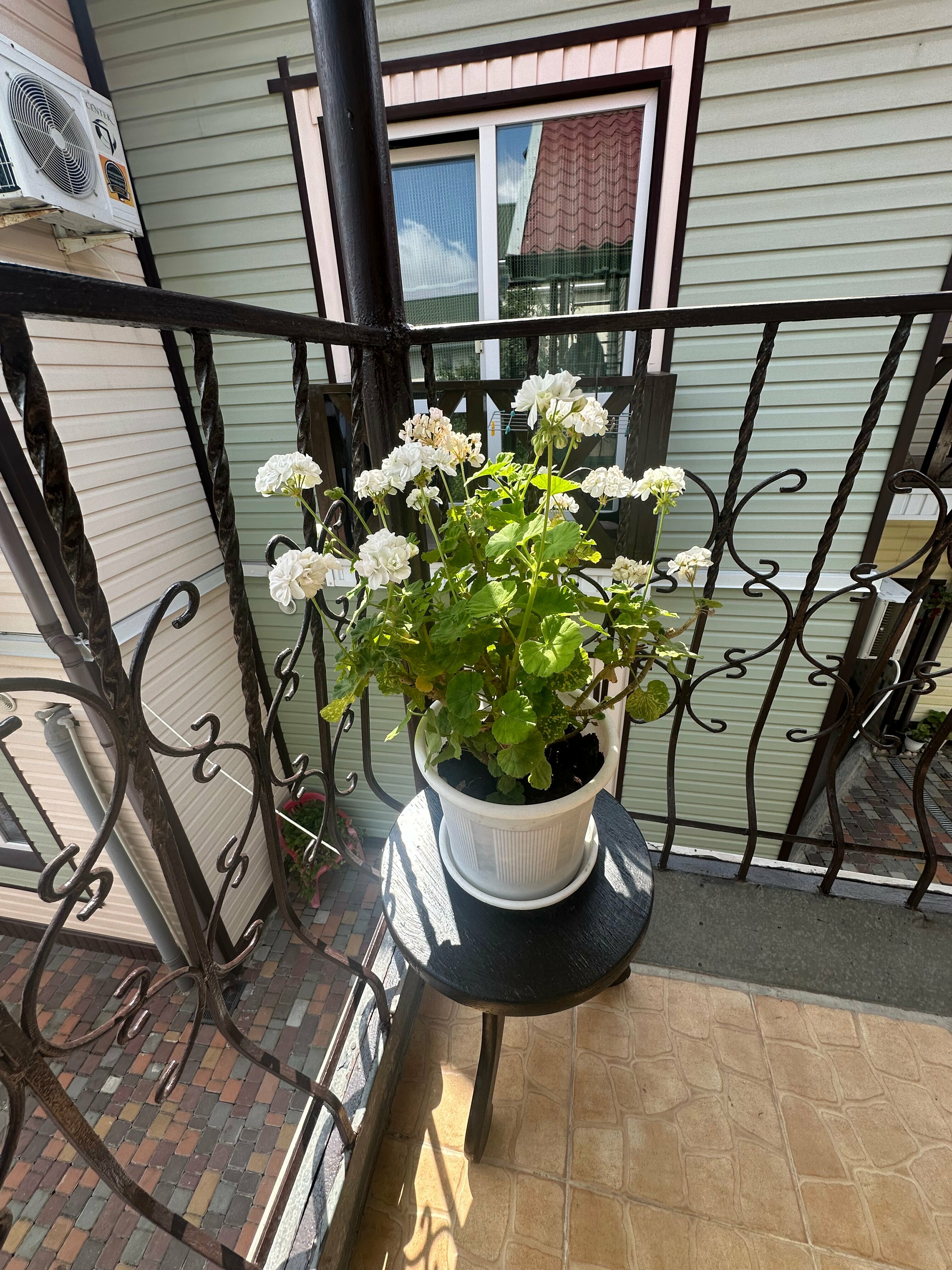 Двухместный номер с 2 отдельными кроватями