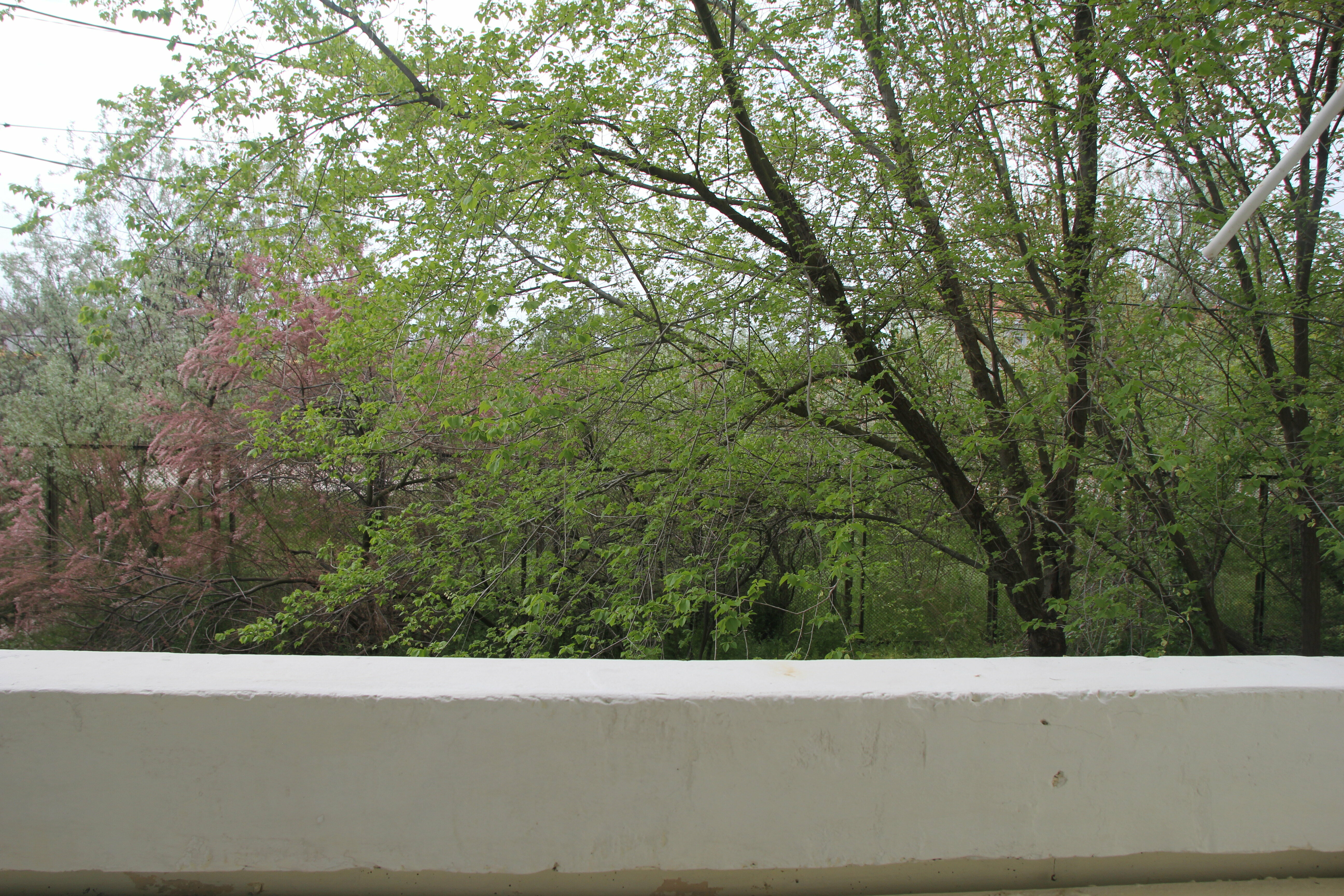 Четырехместный номер с видом на море