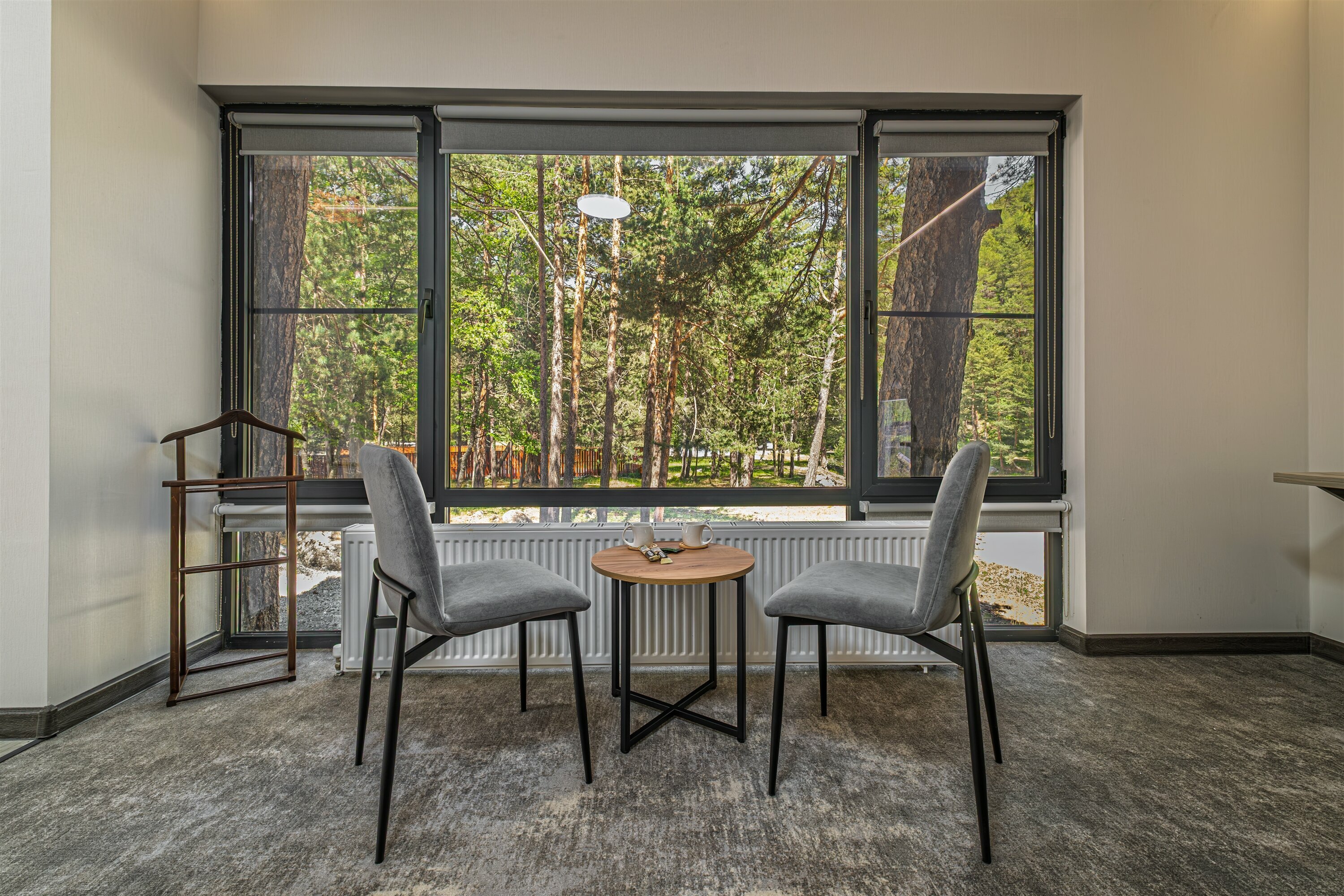 Большой двухместный номер с 1 кроватью