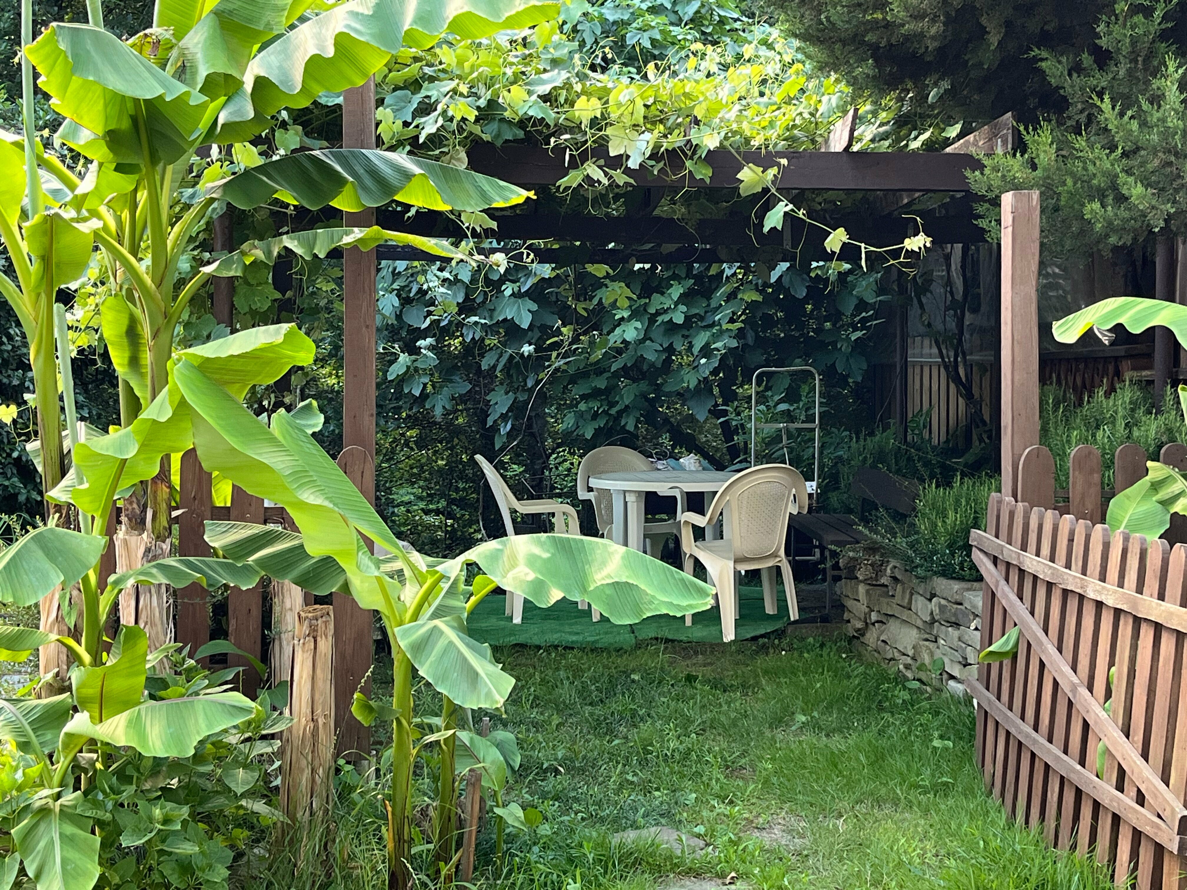 Двухместный номер с 2 отдельными кроватями, вид на горы