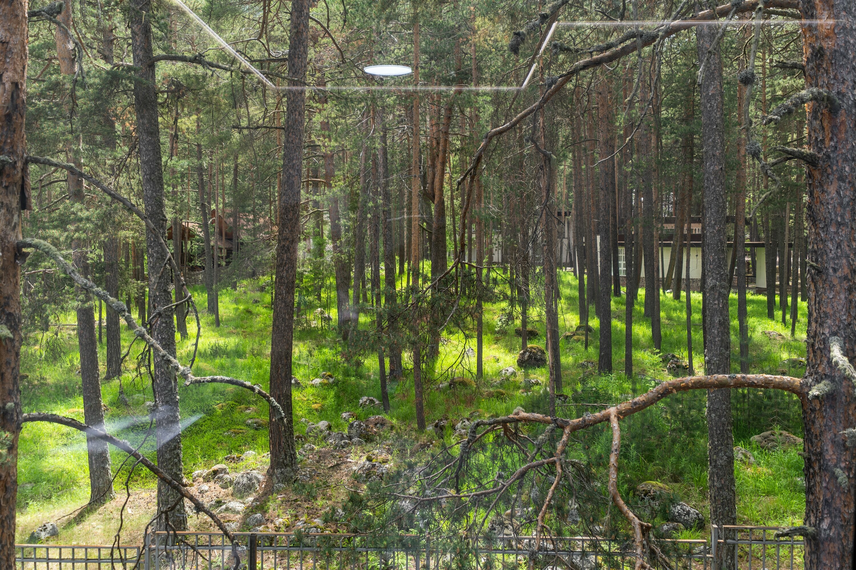 Улучшенный семейный номер