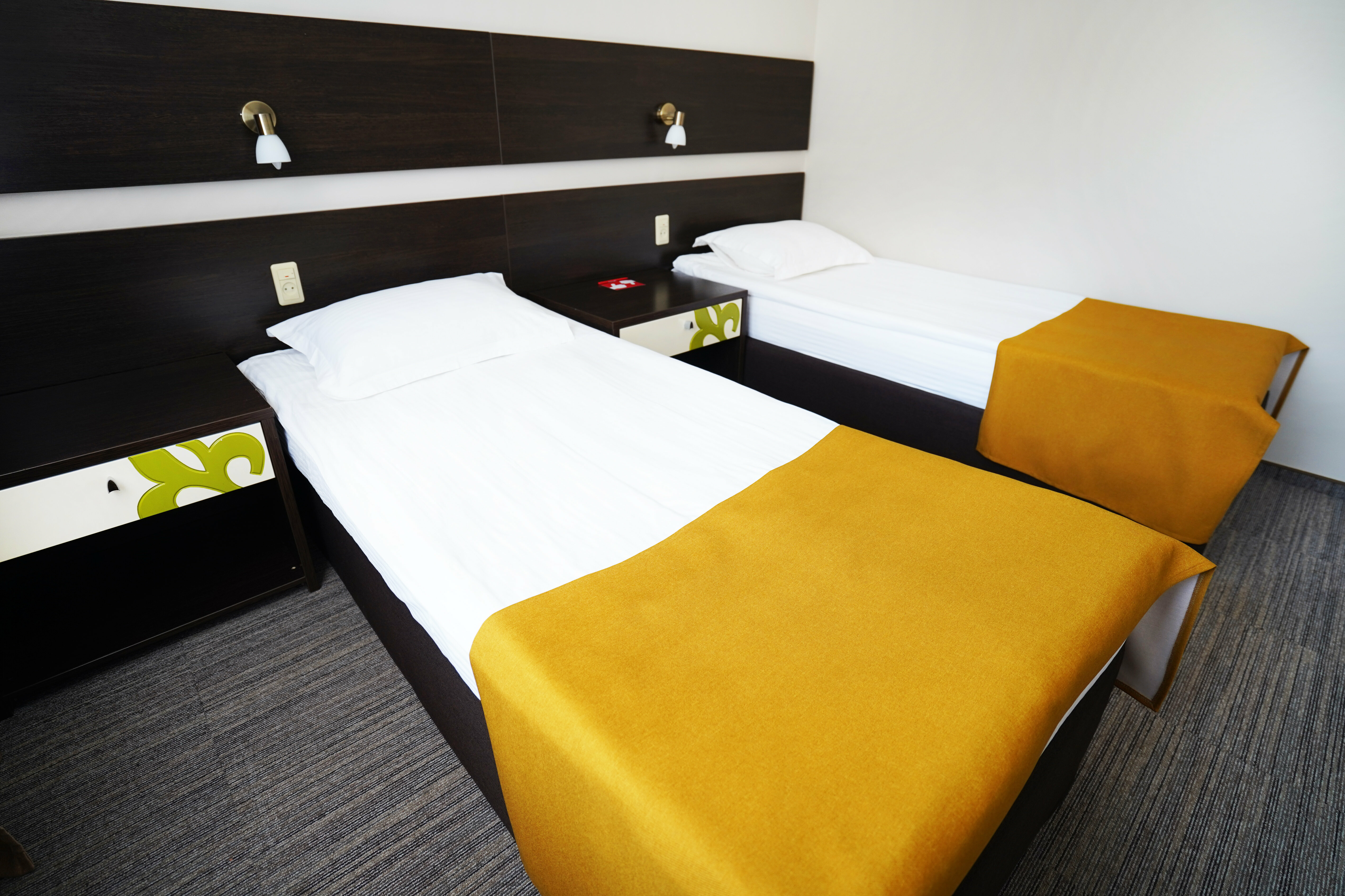 Стандартный двухместный (Standard Twin Bed)