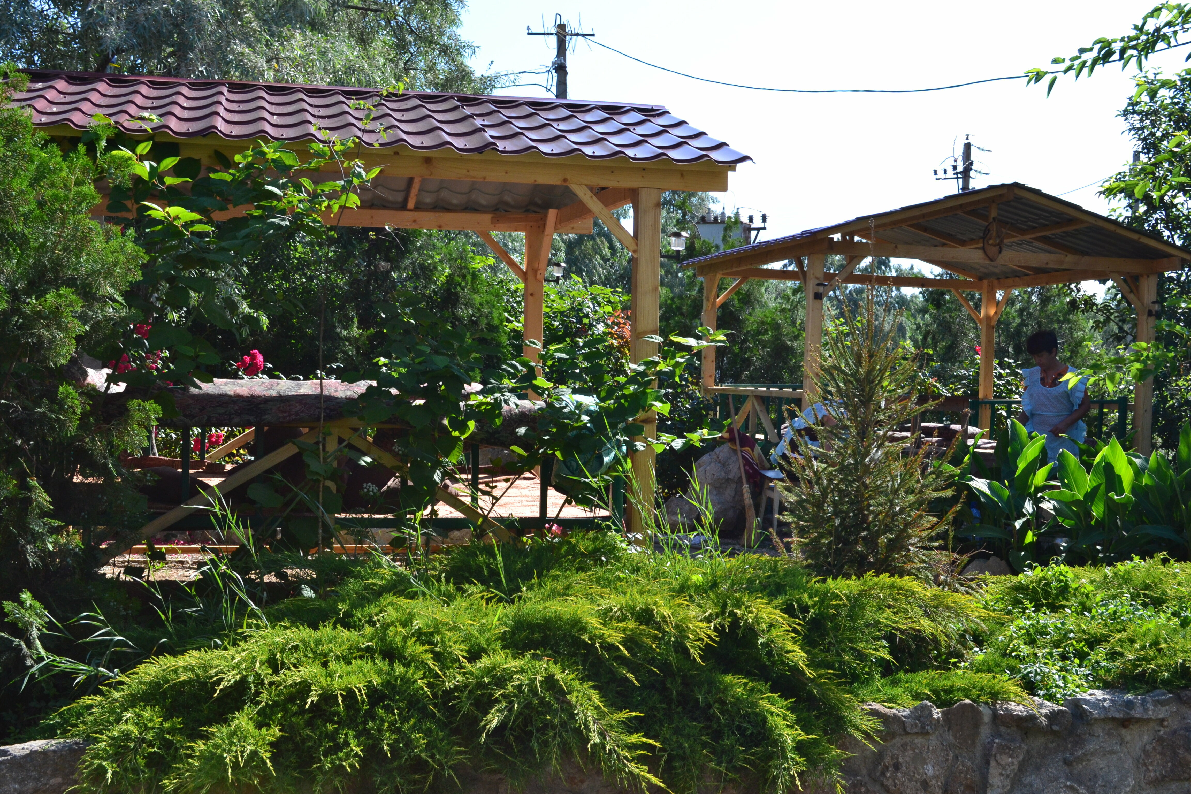 комфорт улучшенный двухместный